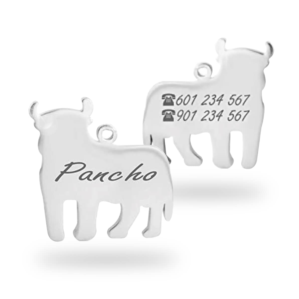 Personalisierte Erkennungsmarken für Hunde und Katzen