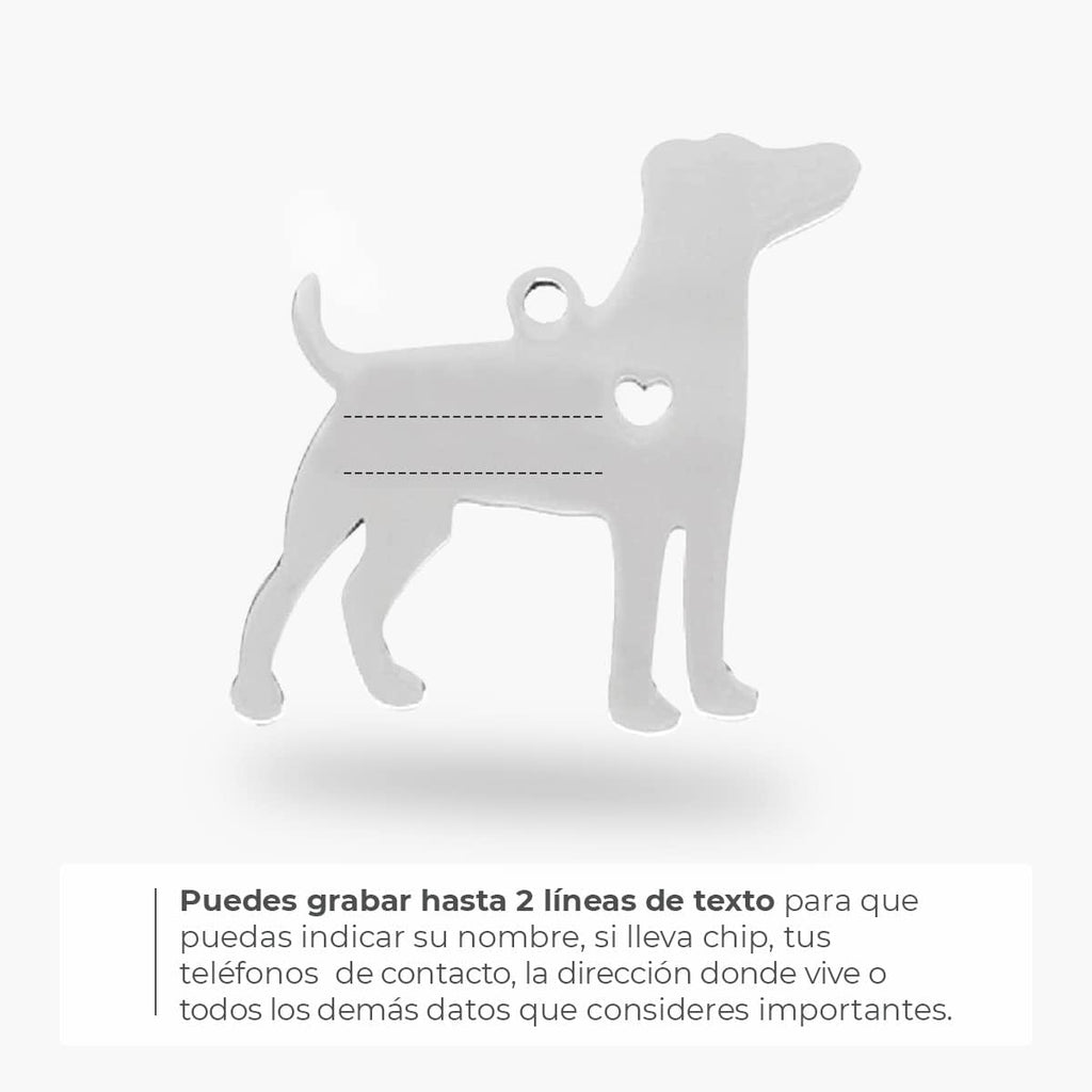 Chapa para Perro y Gato Personalizada - Ideal para Grabar su Nombre y tu Contacto - Placa Identificativa Hecha de Acero Inoxidable - Forma de Beagle - Regalos Market