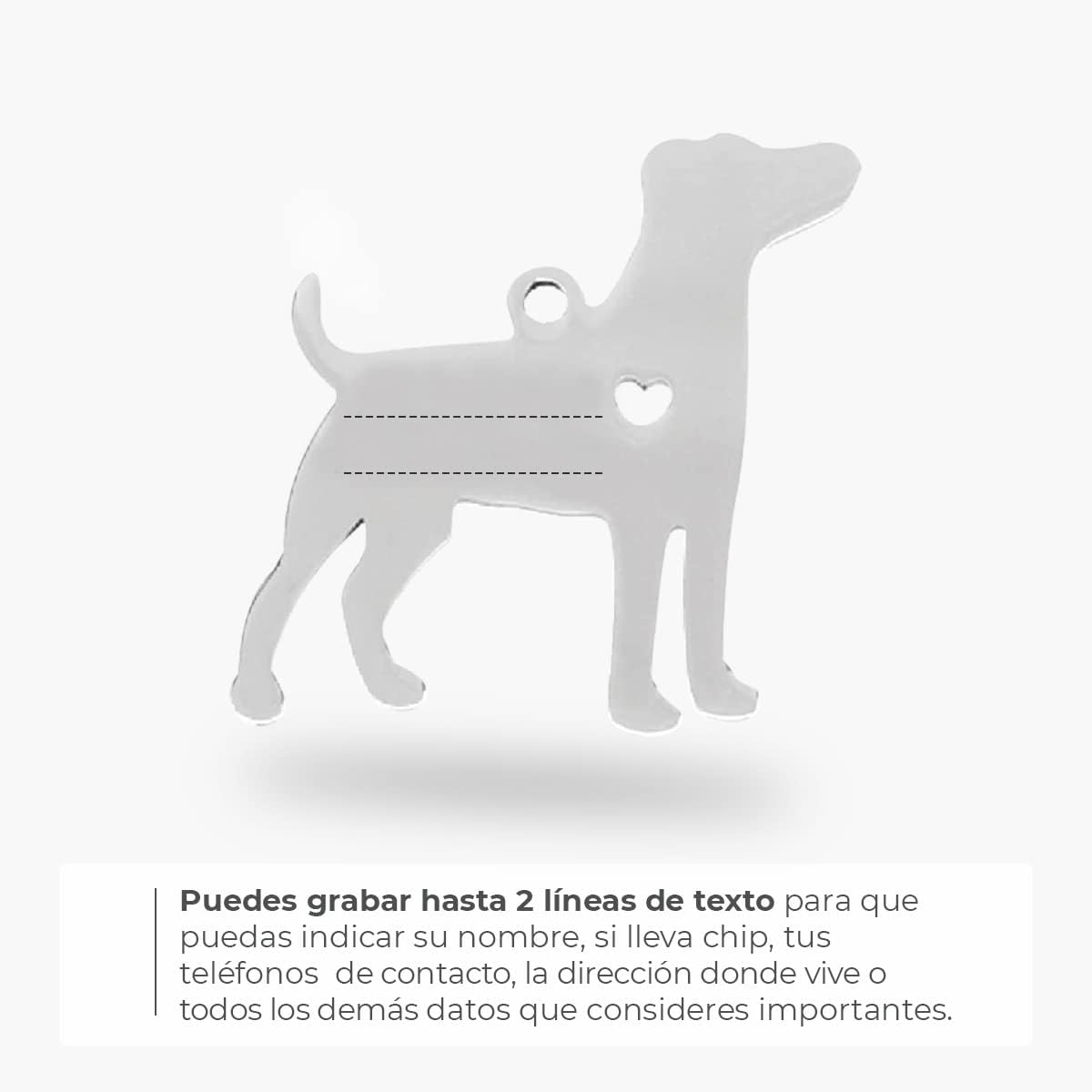 Chapa para Perro y Gato Personalizada - Ideal para Grabar su Nombre y tu Contacto - Placa Identificativa Hecha de Acero Inoxidable - Forma de Beagle - Regalos Market