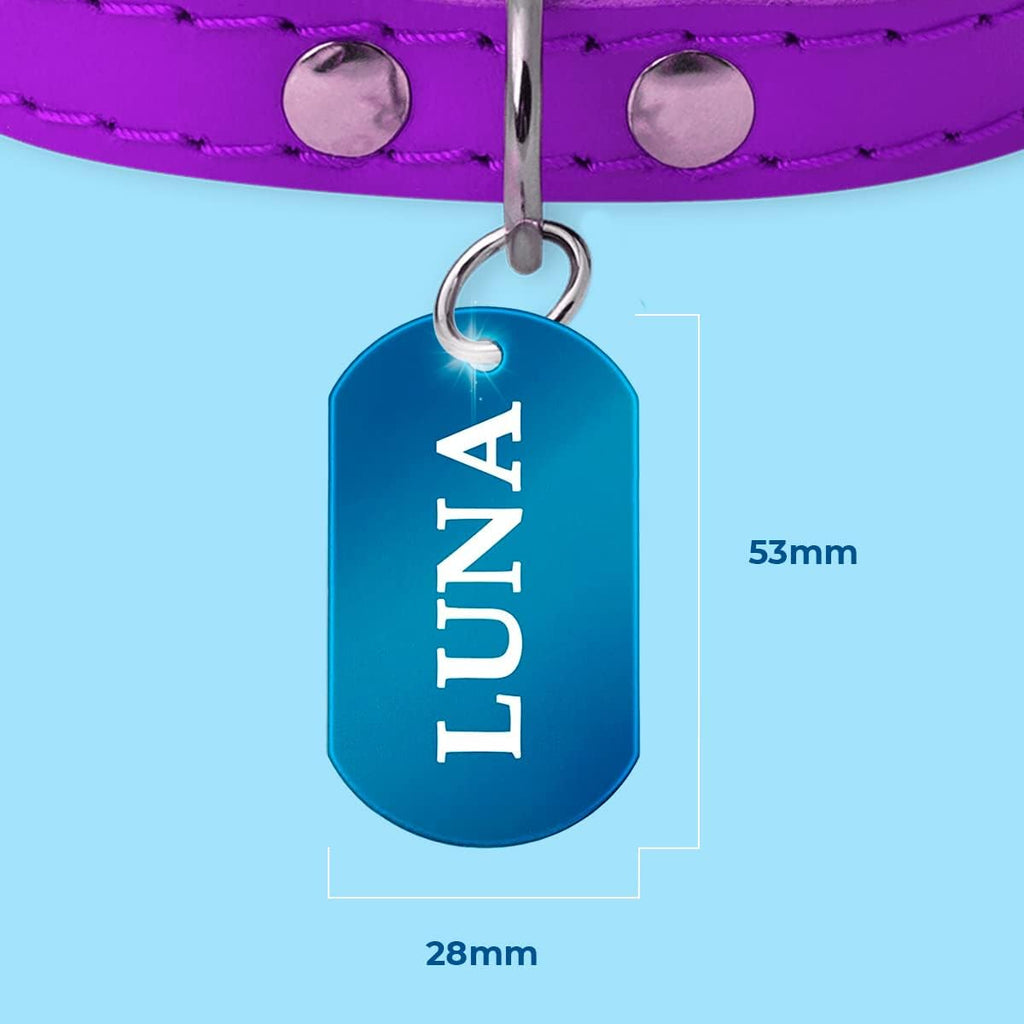 Ibera Gifts - Chapa Perro Grabada en Forma de Chapa Militar, Placa Perro Personalizada para Perros y Gatos Medianos a Muy Grandes, Tamaño 53 x 28 mm, Chapa Identificativa Perro y Gato (Azul)