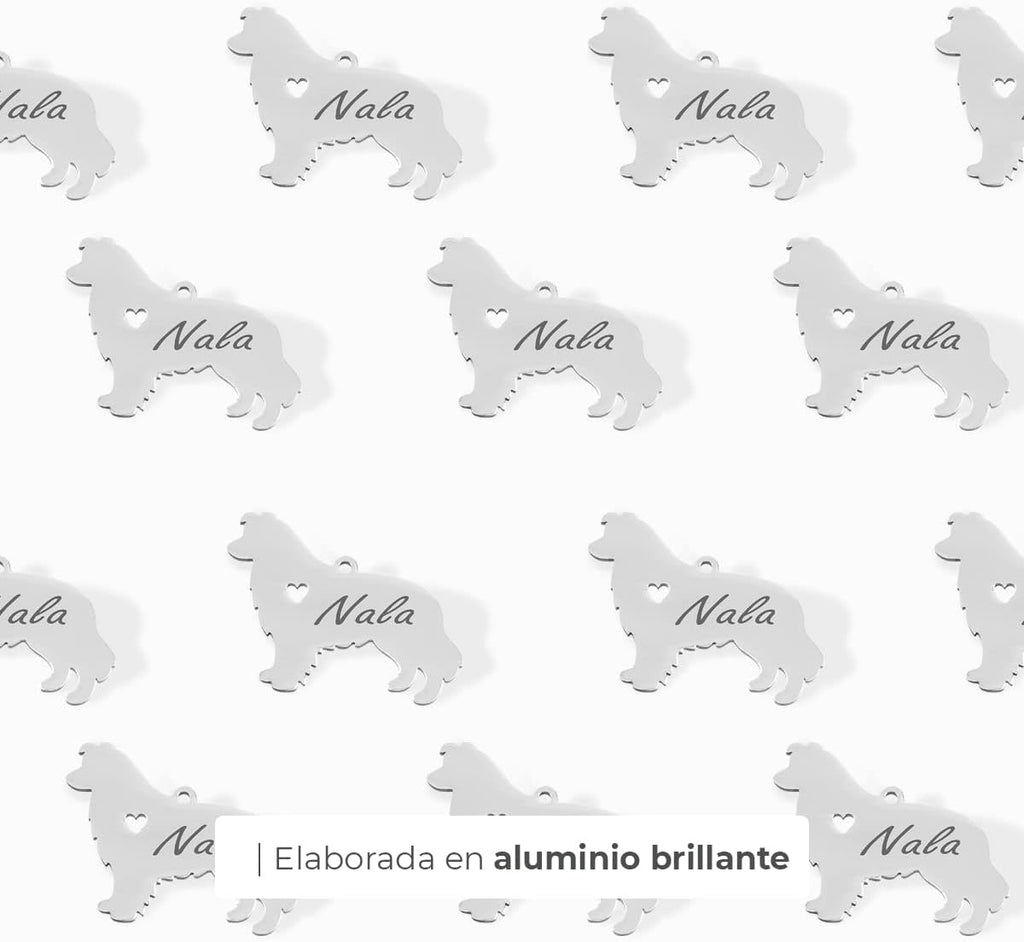 Chapa para Perro y Gato Personalizada - Ideal para Grabar su Nombre y tu Contacto - Placa Identificativa Hecha de Acero Inoxidable - Forma de Shetland - Regalos Market