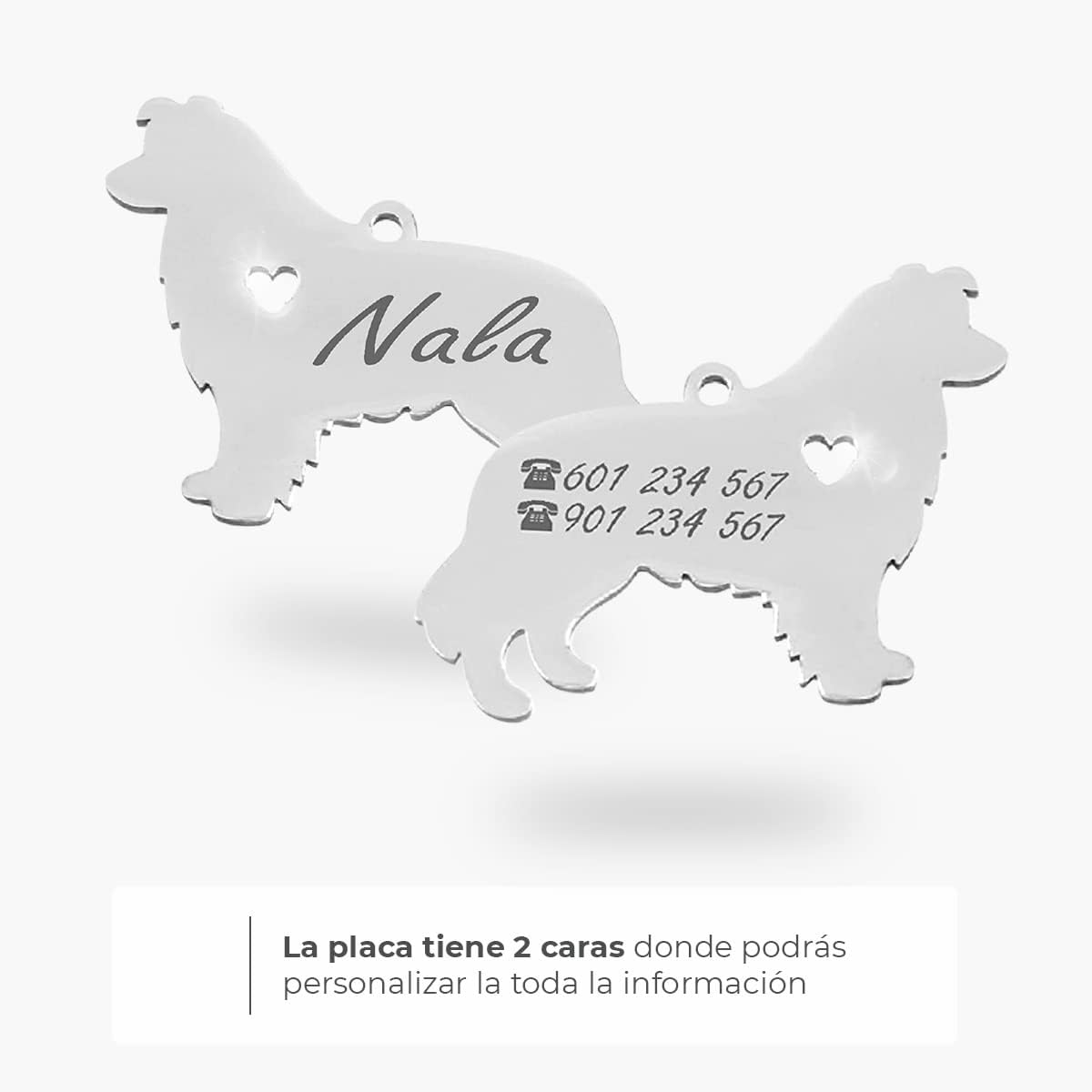 Chapa para Perro y Gato Personalizada - Ideal para Grabar su Nombre y tu Contacto - Placa Identificativa Hecha de Acero Inoxidable - Forma de Shetland - Regalos Market