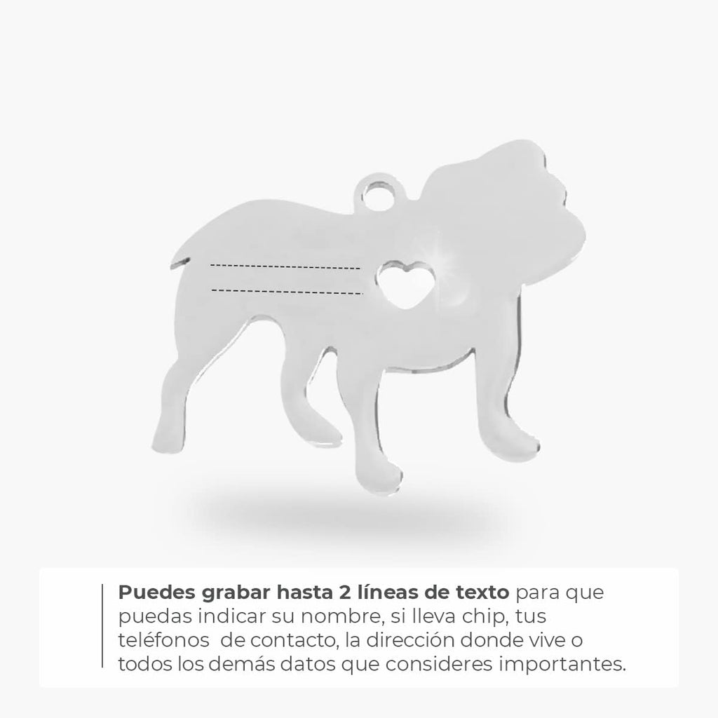 Chapa para Perro y Gato Personalizada - Ideal para Grabar su Nombre y tu Contacto - Placa Identificativa Hecha de Acero Inoxidable - Forma de Bulldog - Regalos Market