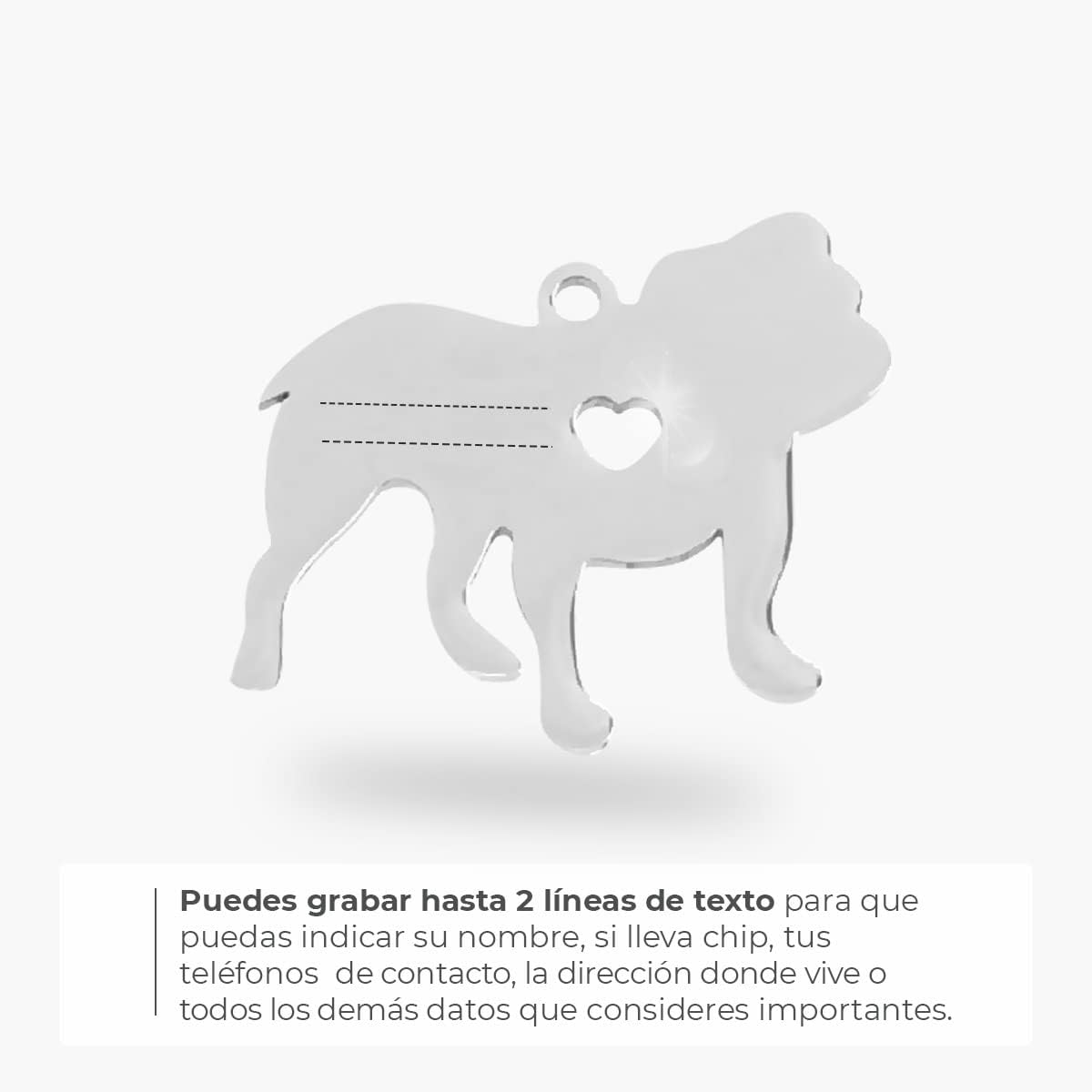 Chapa para Perro y Gato Personalizada - Ideal para Grabar su Nombre y tu Contacto - Placa Identificativa Hecha de Acero Inoxidable - Forma de Bulldog - Regalos Market