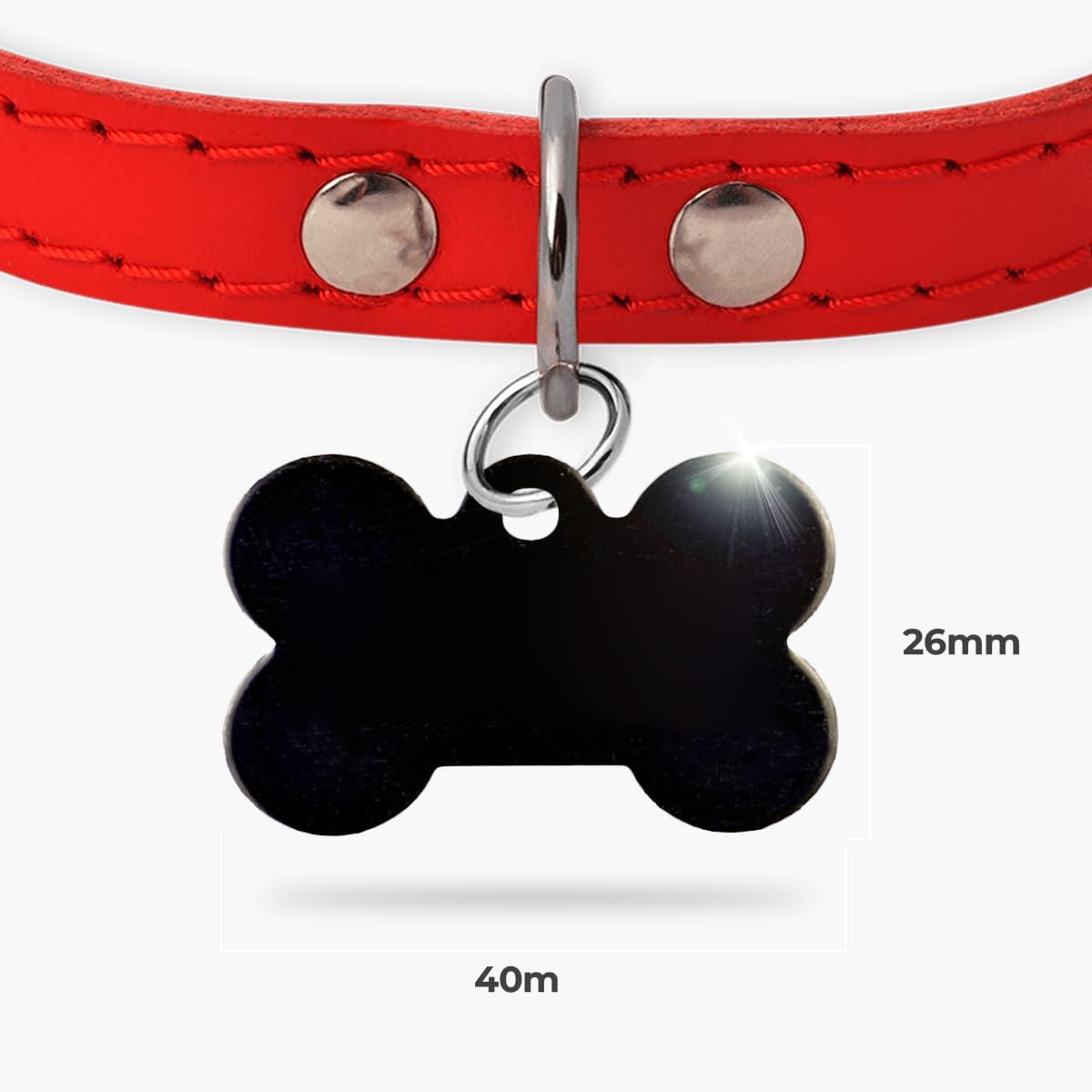 Ibera Gifts - Chapa Perro Grabada en Forma de Hueso, Placa Perro Personalizada para Perros y Gatos Medianos y Grandes, Tamaño 40 x 26 mm, Chapa Identificativa Perro y Gato (Negra)