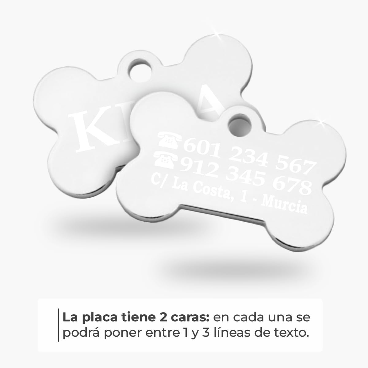 Ibera Gifts - Chapa Perro Grabada en Forma de Hueso, Placa Perro Personalizada para Perros y Gatos Pequeños y Medianos, Tamaño 30 x 20 mm, Chapa Identificativa Perro y Gato (Plateada)