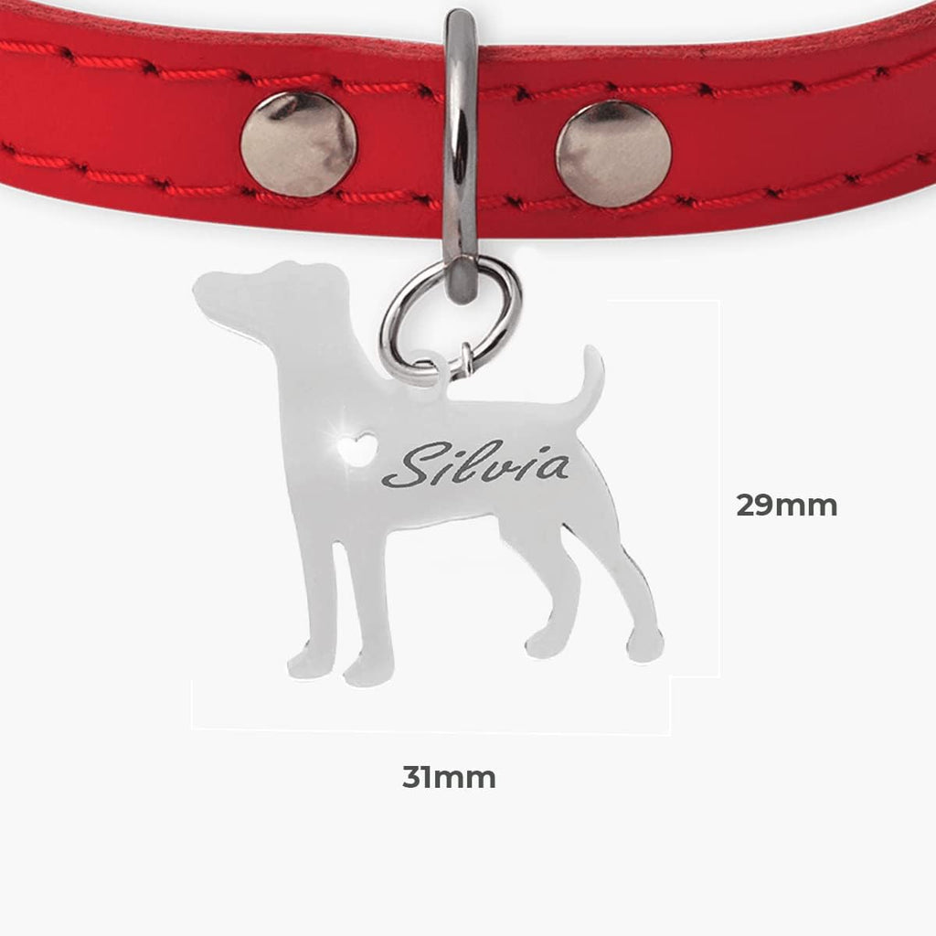 Chapa para Perro y Gato Personalizada - Ideal para Grabar su Nombre y tu Contacto - Placa Identificativa Hecha de Acero Inoxidable - Forma de Beagle - Regalos Market