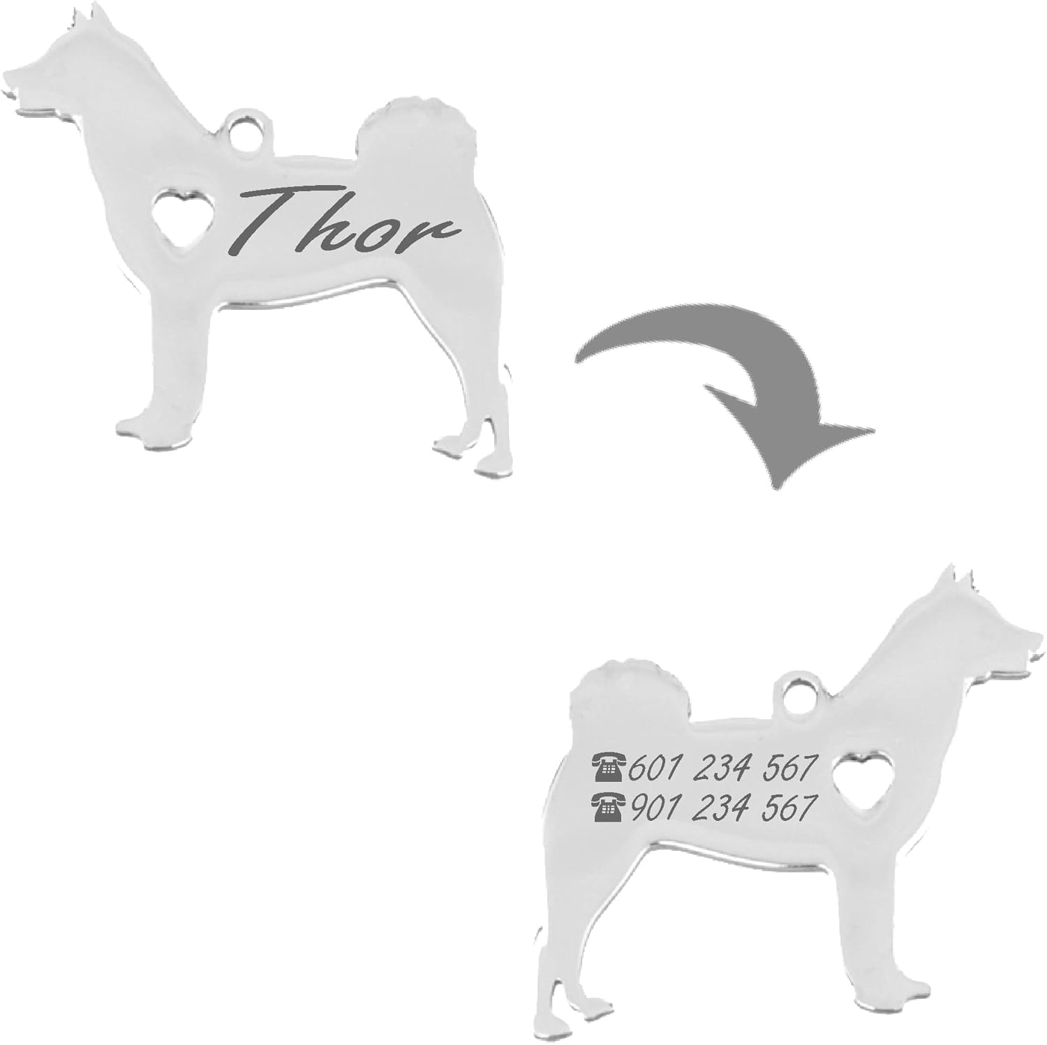 Personalisierte Erkennungsmarken für Hunde und Katzen