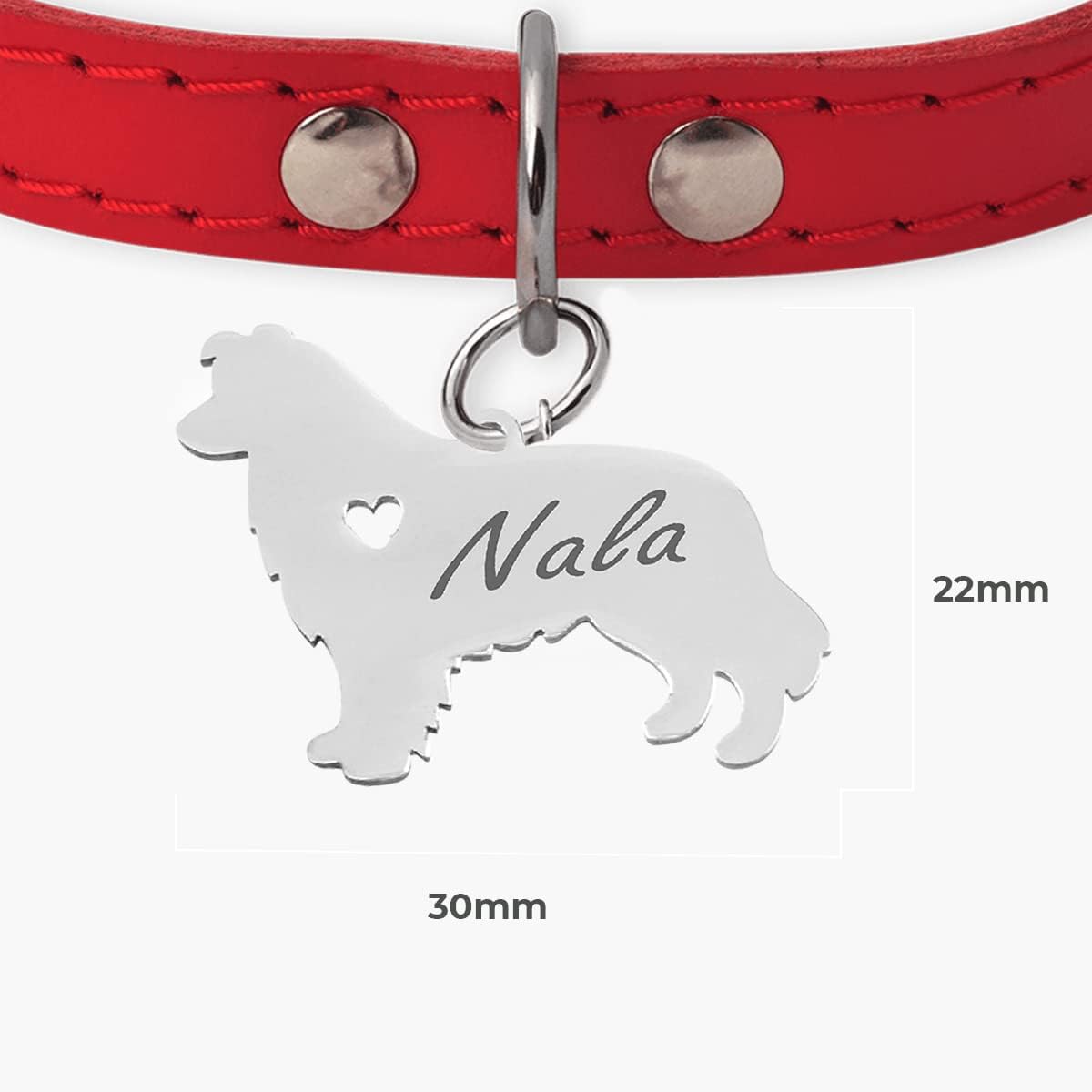 Chapa para Perro y Gato Personalizada - Ideal para Grabar su Nombre y tu Contacto - Placa Identificativa Hecha de Acero Inoxidable - Forma de Shetland - Regalos Market