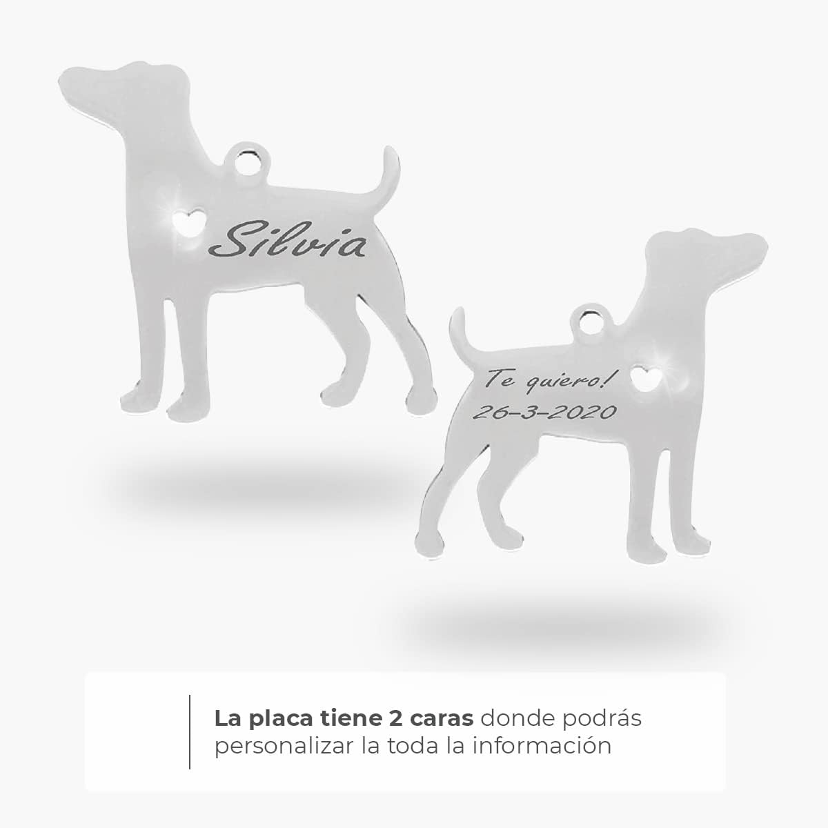 Chapa para Perro y Gato Personalizada - Ideal para Grabar su Nombre y tu Contacto - Placa Identificativa Hecha de Acero Inoxidable - Forma de Beagle - Regalos Market
