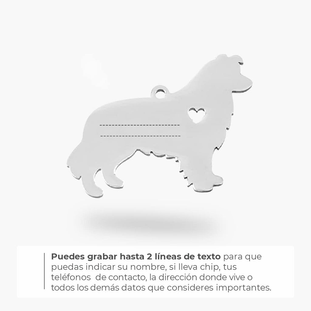 Chapa para Perro y Gato Personalizada - Ideal para Grabar su Nombre y tu Contacto - Placa Identificativa Hecha de Acero Inoxidable - Forma de Shetland - Regalos Market