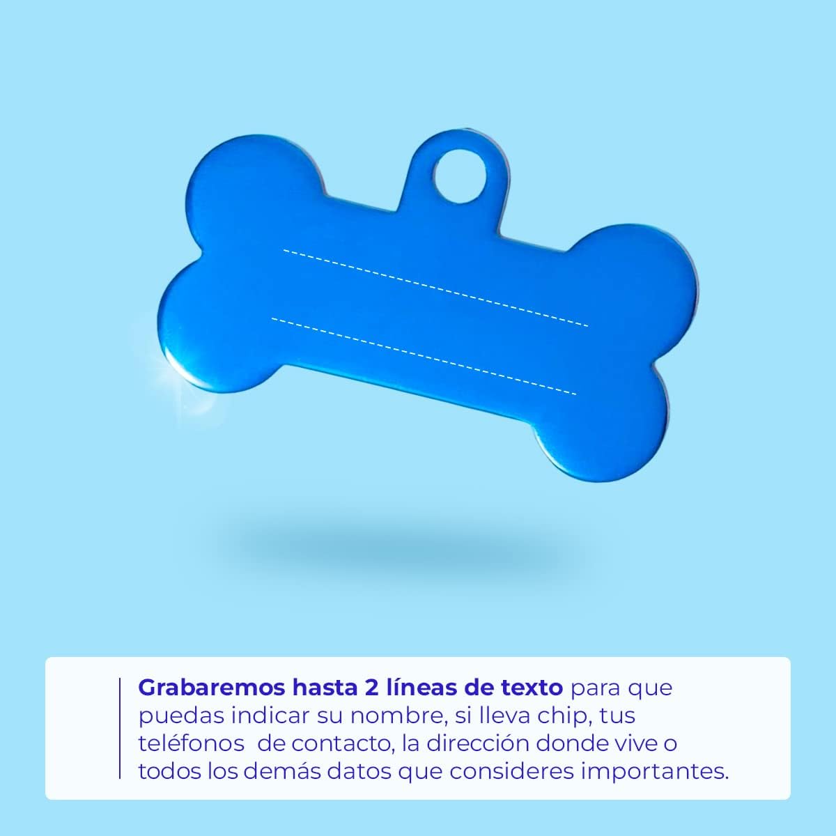 Ibera Gifts - Chapa Perro Grabada en Forma de Hueso para Perros y Gatos Pequeños a Medianos, Placa Perro Personalizada, Aluminio Brillante, Tamaño 30 x 15 mm (Azul)