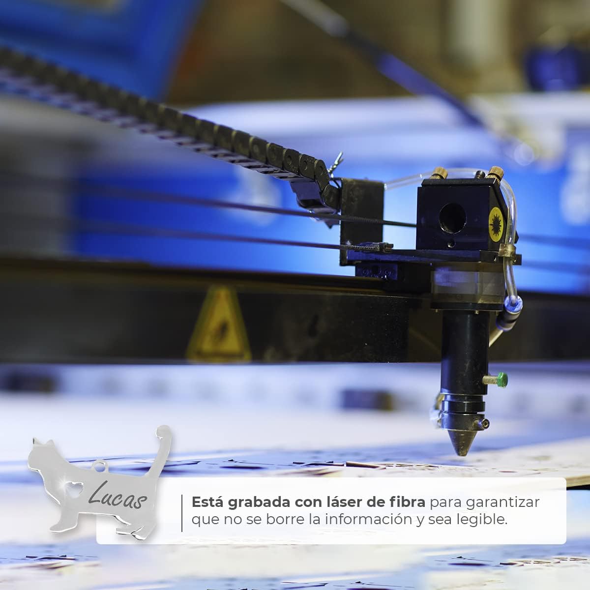 Chapa para Perro y Gato Personalizada - Ideal para Grabar su Nombre y tu Contacto - Placa Identificativa Hecha de Acero Inoxidable - Forma de Gato - Regalos Market