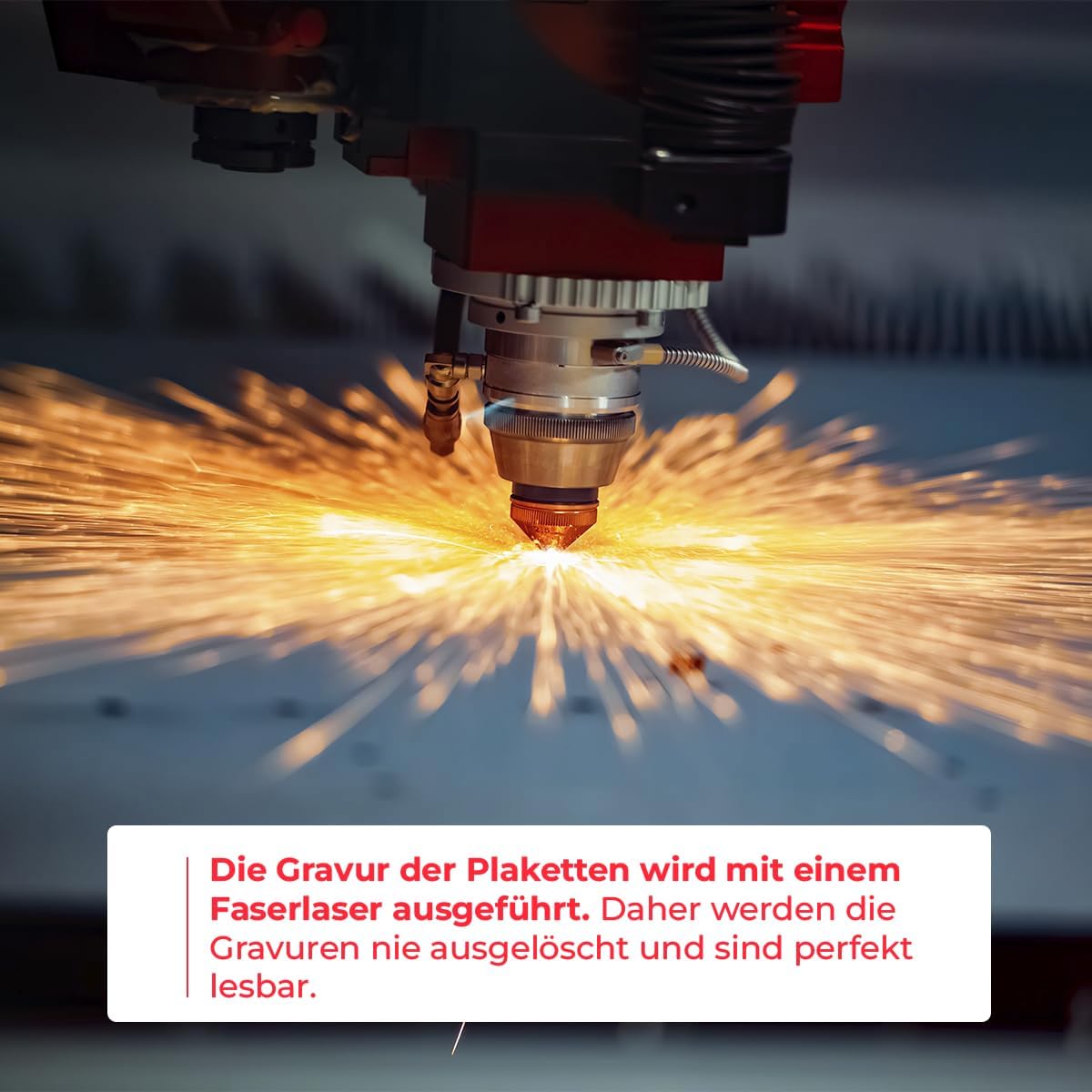 Ibera gifts - Hundemarke mit Gravur und personalisierte Hundemarke in Knochenform für kleine bis mittelgroße Hunde und Katzen (Rot, Keine Zeichnung)