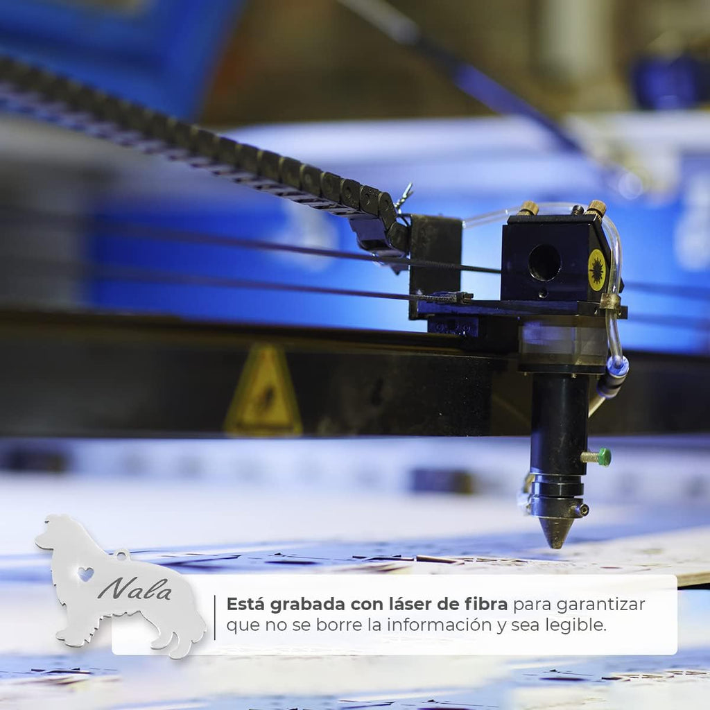 Chapa para Perro y Gato Personalizada - Ideal para Grabar su Nombre y tu Contacto - Placa Identificativa Hecha de Acero Inoxidable - Forma de Shetland - Regalos Market