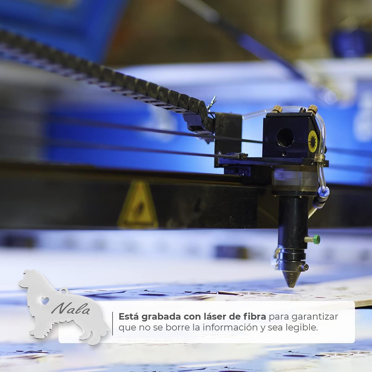 Chapa para Perro y Gato Personalizada - Ideal para Grabar su Nombre y tu Contacto - Placa Identificativa Hecha de Acero Inoxidable - Forma de Shetland - Regalos Market