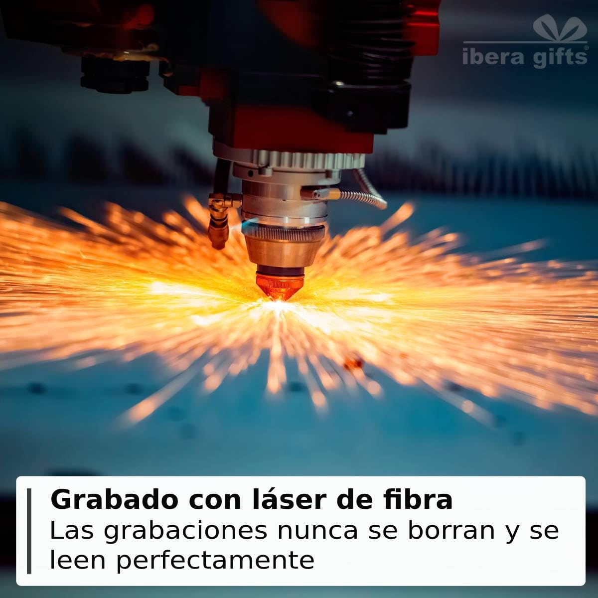 Ibera Gifts - Chapa Perro Grabada De Acero Inoxidable En Forma De Hueso, Tamaño 37 x 23 mm, Placa Perro Personalizada Para Perros Medianos Hasta Grandes