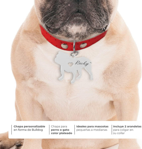 Chapa para Perro y Gato Personalizada - Ideal para Grabar su Nombre y tu Contacto - Placa Identificativa Hecha de Acero Inoxidable - Forma de Bulldog - Regalos Market