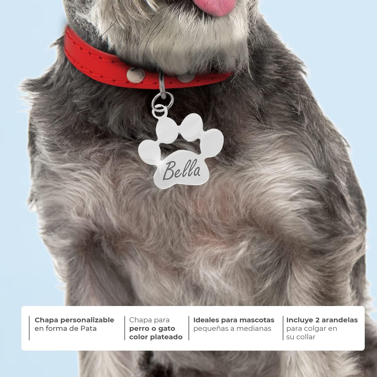 Ibera gifts - Hundemarke mit Gravur, personalisiert, in Form einer Pfote aus Edelstahl, 25x28 mm