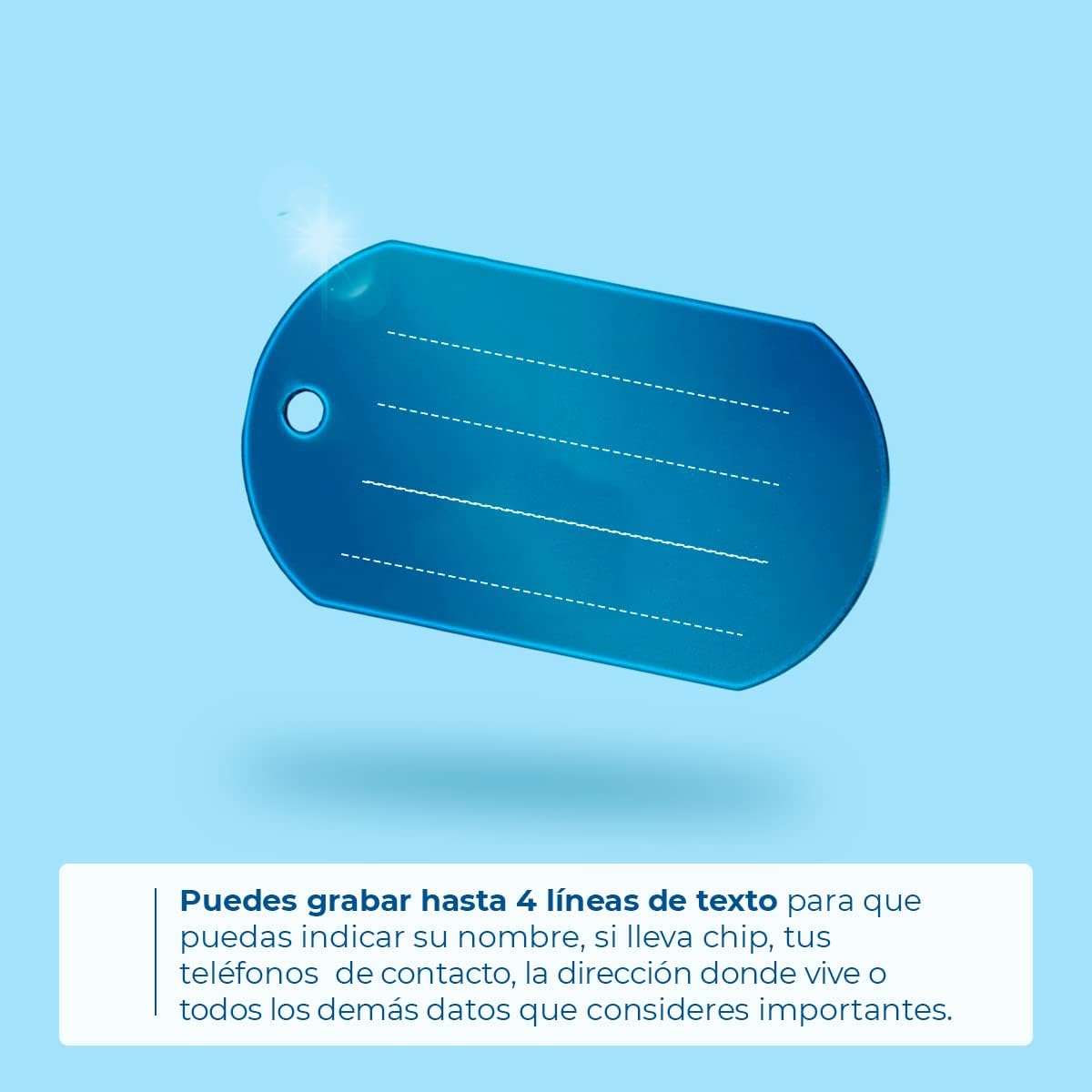 Ibera Gifts - Chapa Perro Grabada en Forma de Chapa Militar, Placa Perro Personalizada para Perros y Gatos Medianos a Muy Grandes, Tamaño 53 x 28 mm, Chapa Identificativa Perro y Gato (Azul)