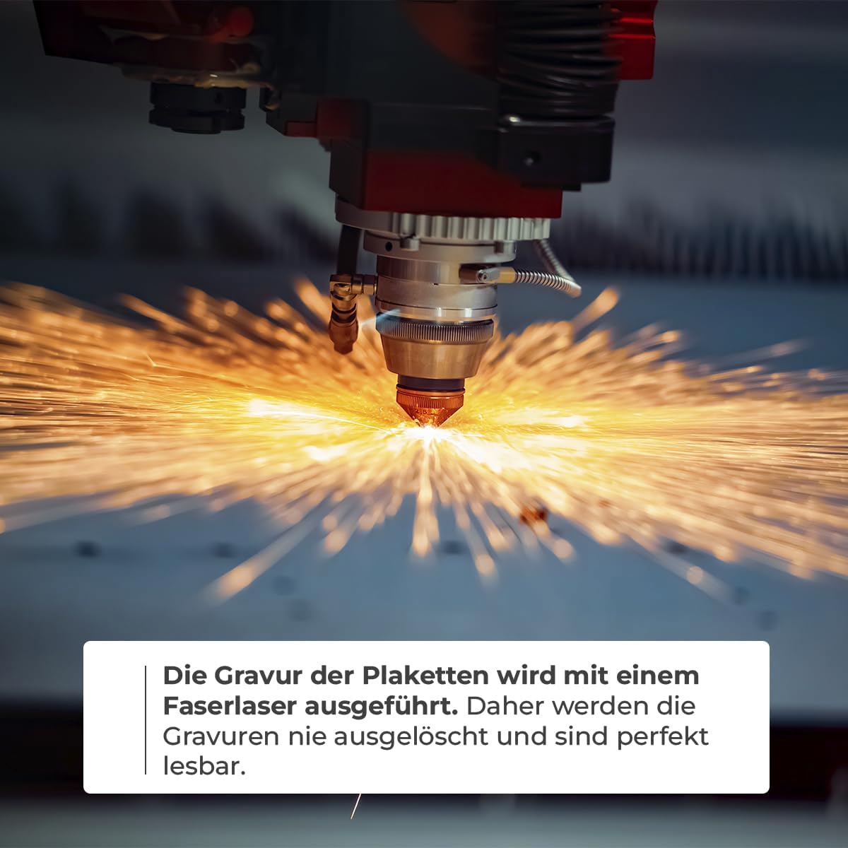 Ibera gifts - Hundemarke mit Gravur und personalisierte Hundemarke in Knochenform für mittelgroße bis große Hunde und Katzen (Silber, Keine Zeichnung)