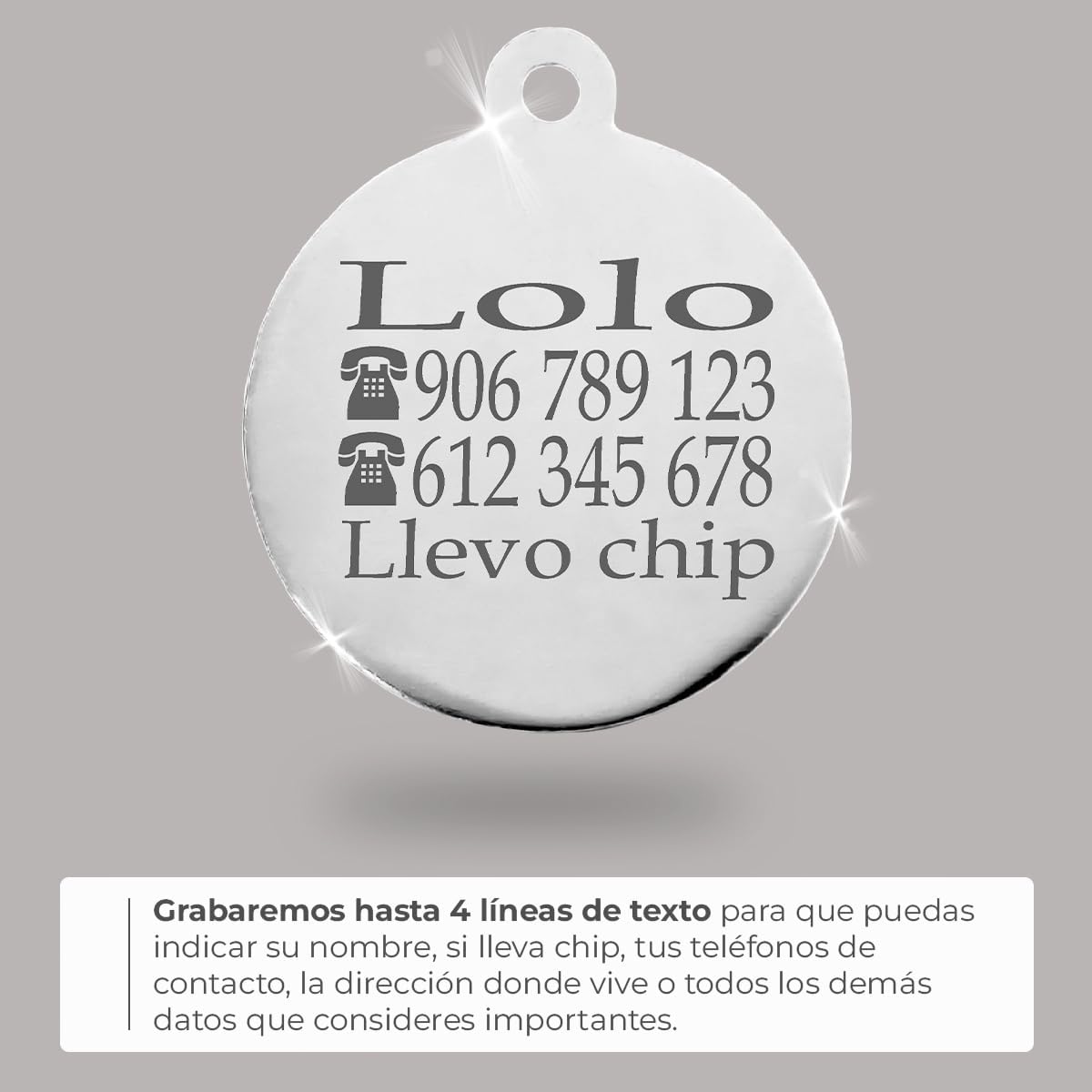Ibera Gifts - Chapa Identificativa para Gato en Forma Redonda Con Cara de Gato, Nombre para Gatos de Todos los Tamaños, Metal de Aleación, Collar Personalizado (Negro)