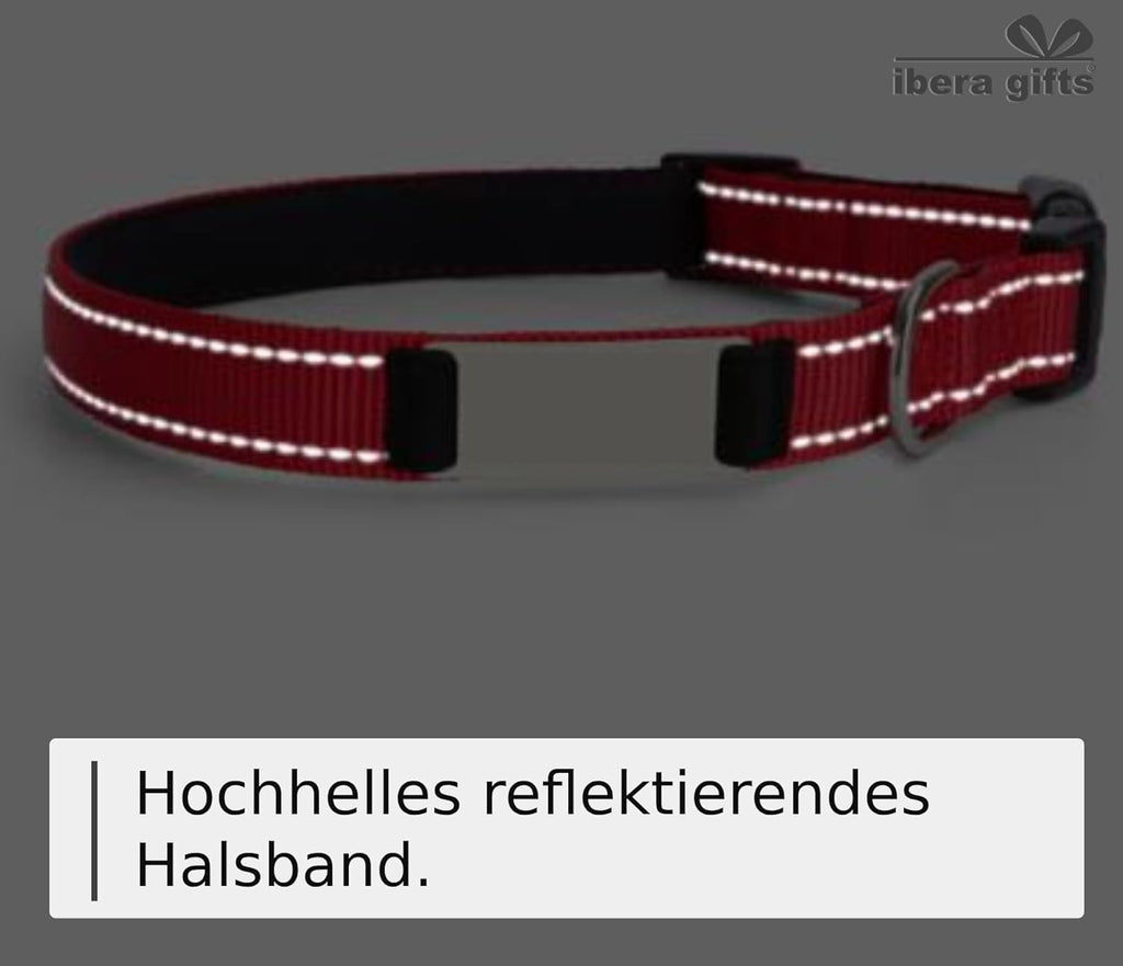 Ibera gifts - Hundehalsband Personalisiert, Hundehalsband Mit Namen Für Kleine Hunde, 25-40 cm, Reflektierend (Schwarz, S Klein)
