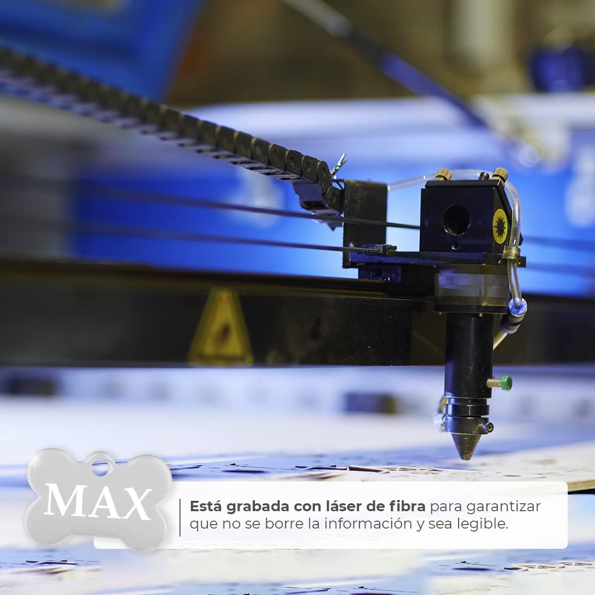 Ibera Gifts - Chapa Perro Grabada en Forma de Hueso, Placa Perro Personalizada para Perros y Gatos Muy Pequeños o Cachorros, Tamaño 22 x 15 mm, Chapa Identificativa Perro y Gato (Plateada)