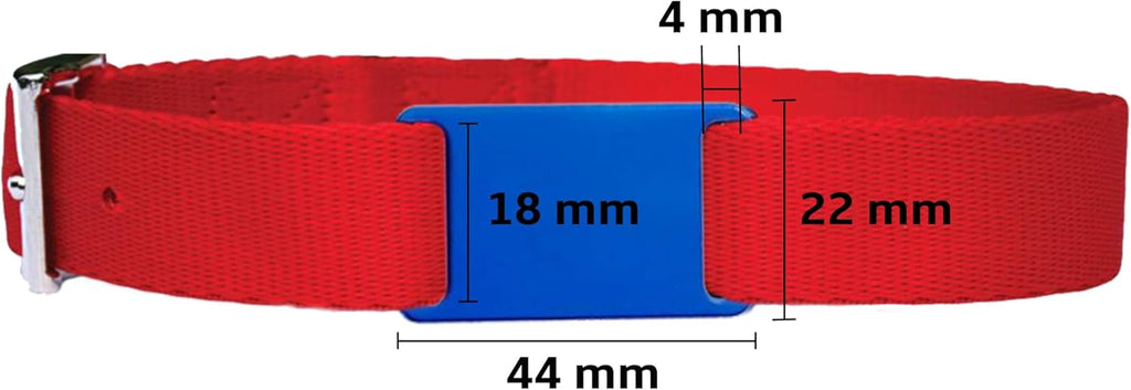 Ibera Gifts - Chapa Perro Grabada en Forma Rectangular para Fijar en el Collar, Placa Perro Personalizada para Perros y Gatos Pequeños a Medianos, Aluminio Brillante, Tamaño 44 x 22 mm (Plateado)