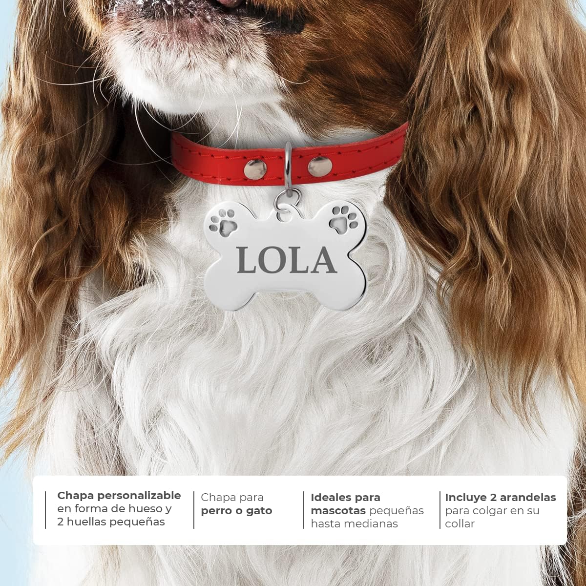 Ibera Gifts - Chapa Perro Grabada De Acero Inoxidable En Forma De Hueso, Tamaño 25 x 16 mm, Placa Perro Personalizada Para Cachorros y Mascotas Muy Pequeñas (Peq. 2 Huellas)