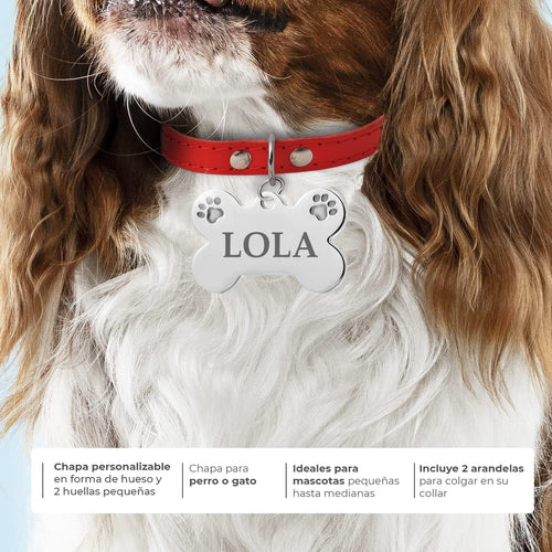 Ibera Gifts - Chapa Perro Grabada De Acero Inoxidable En Forma De Hueso, Tamaño 25 x 16 mm, Placa Perro Personalizada Para Cachorros y Mascotas Muy Pequeñas (Peq. 2 Huellas)