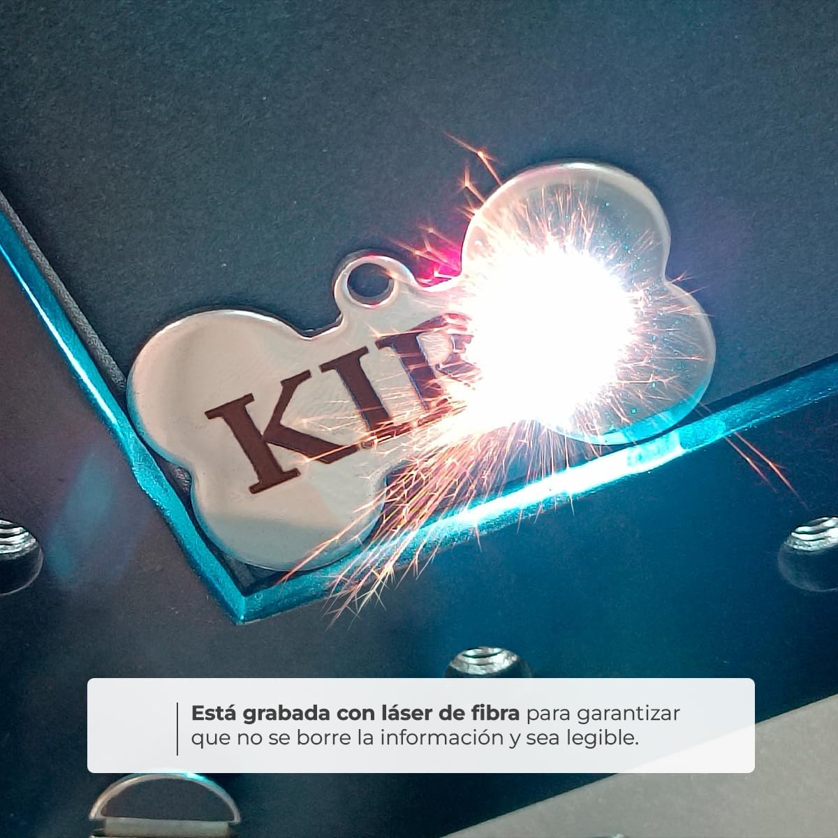 Ibera Gifts - Chapa Identificativa para Gato en Forma Redonda Con Cara de Gato, Nombre para Gatos de Todos los Tamaños, Metal de Aleación, Collar Personalizado (Negro)