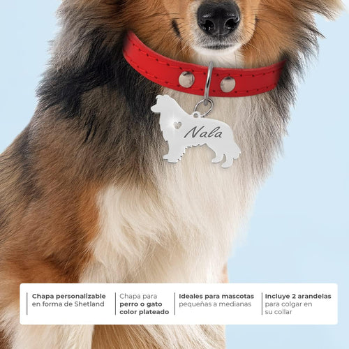 Chapa para Perro y Gato Personalizada - Ideal para Grabar su Nombre y tu Contacto - Placa Identificativa Hecha de Acero Inoxidable - Forma de Shetland - Regalos Market