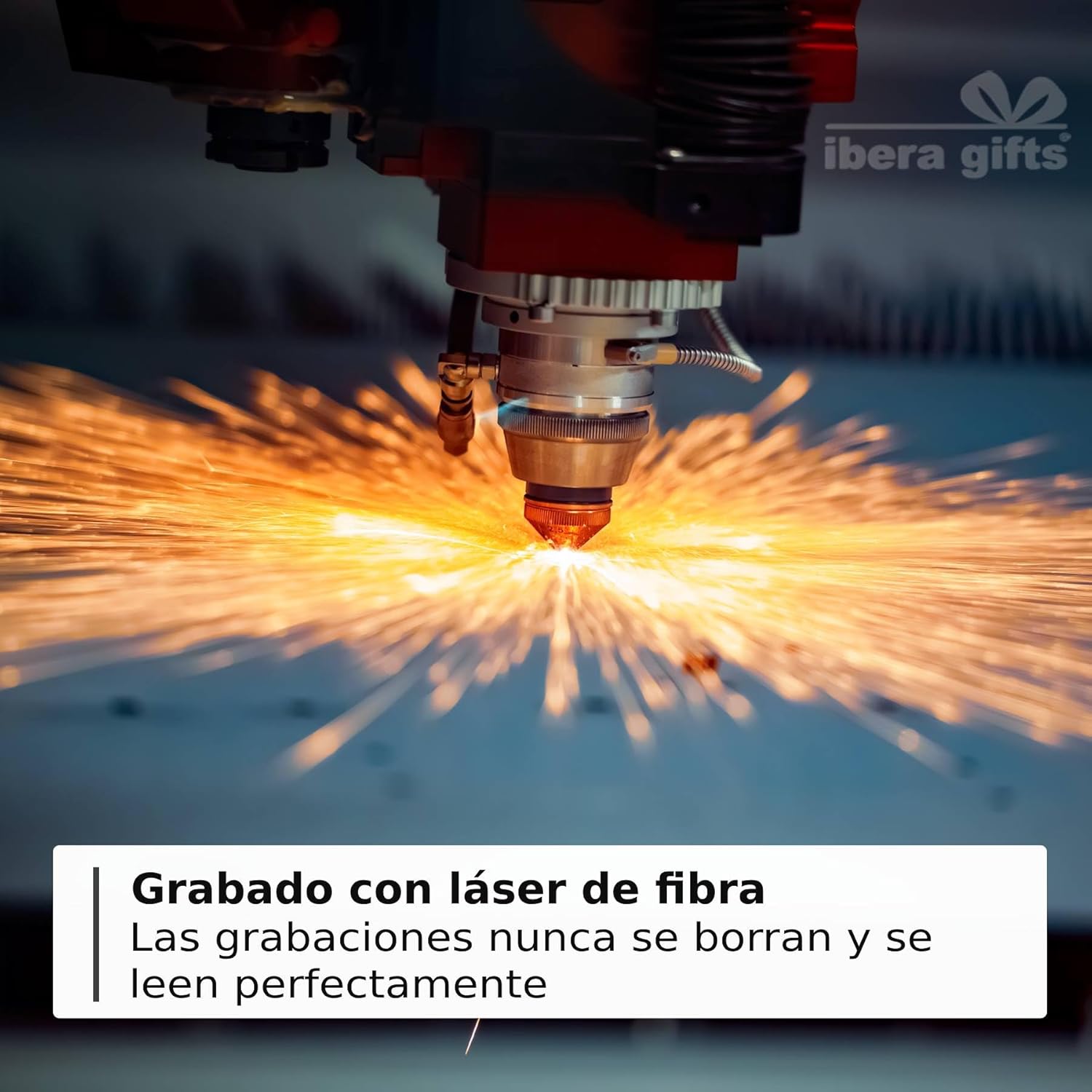 Ibera Gifts - Collar Gato Personalizado Antiahogo y Reflectante, Ajustable De 22 a 30 cm, Grabado Con Nombre, Para Gatos De Todos Los Tamaños, Sin Cascabel (Azul)