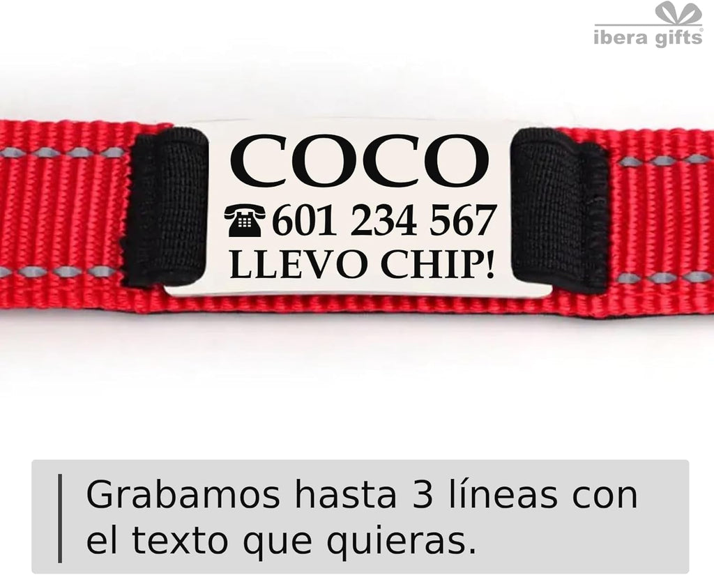 Ibera gifts - Collar Perro Personalizado con Nombre para Mascotas Pequeñas, Reflectante, Ajustable De 25 a 40 cm, Grabado Láser, Seguro y Cómodo (Azul, S pequeño)
