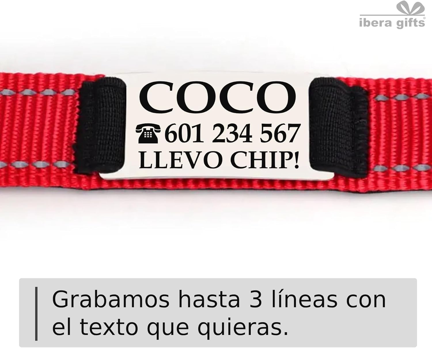 Ibera gifts - Collar Perro Personalizado con Nombre para Mascotas Pequeñas, Reflectante, Ajustable De 25 a 40 cm, Grabado Láser, Seguro y Cómodo (Azul, S pequeño)