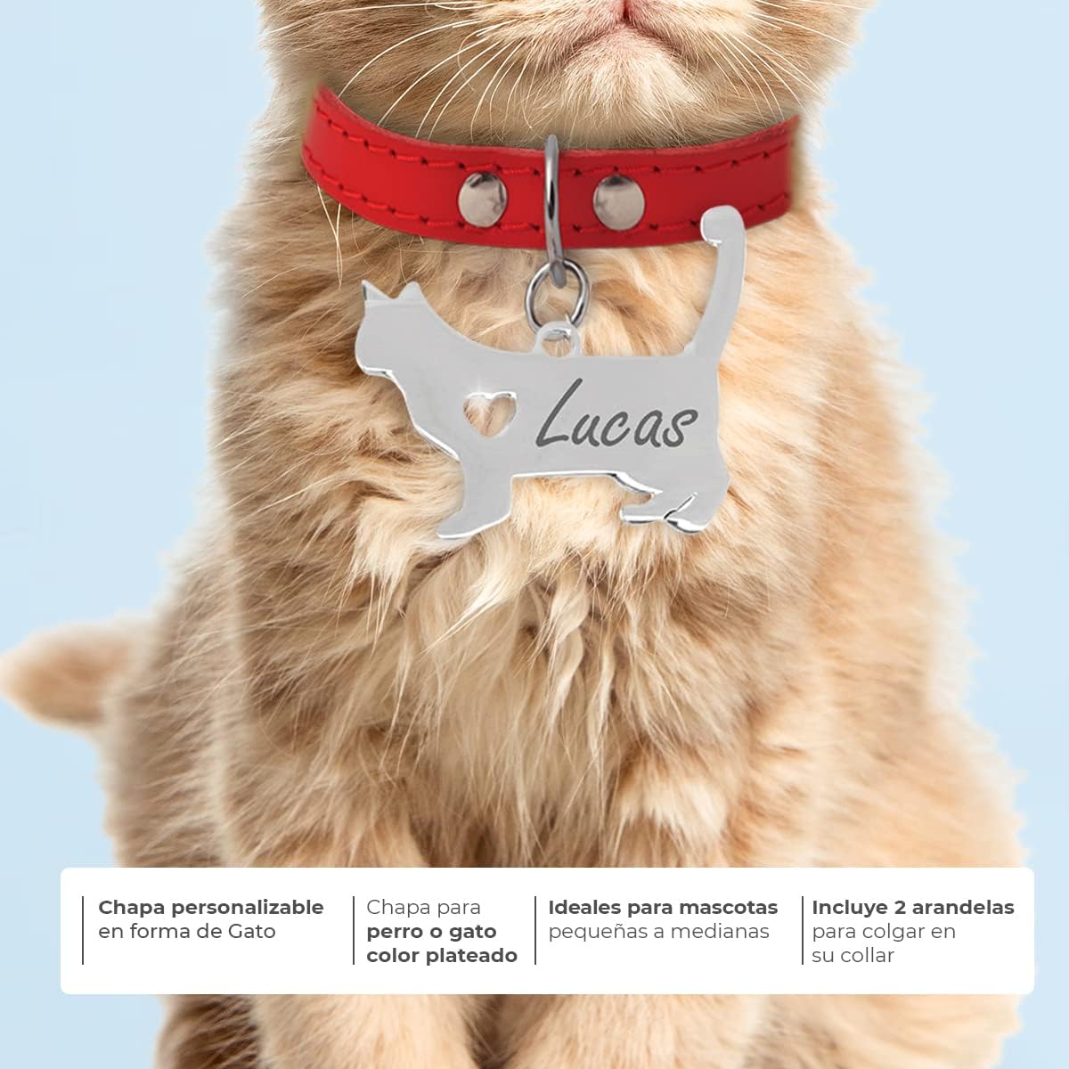 Chapa para Perro y Gato Personalizada - Ideal para Grabar su Nombre y tu Contacto - Placa Identificativa Hecha de Acero Inoxidable - Forma de Gato - Regalos Market