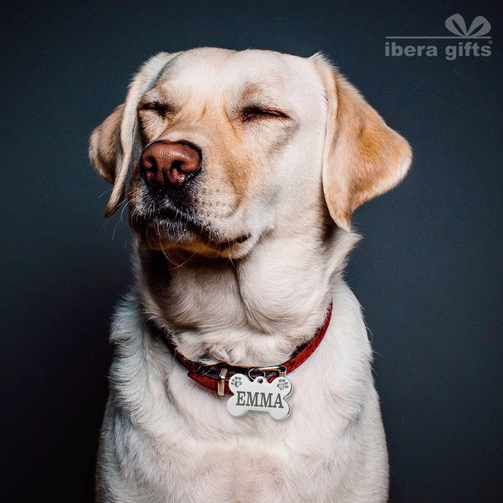 Ibera gifts - Hundemarke Mit Gravur - Personalisierte Hundemarke Für Mittelgroße Bis Große Hunde - Edelstahl 37 x 23 mm - Hundeanhänger Mit Gravur - Mit Strasssteinen (Silber/Strass/Pfote)