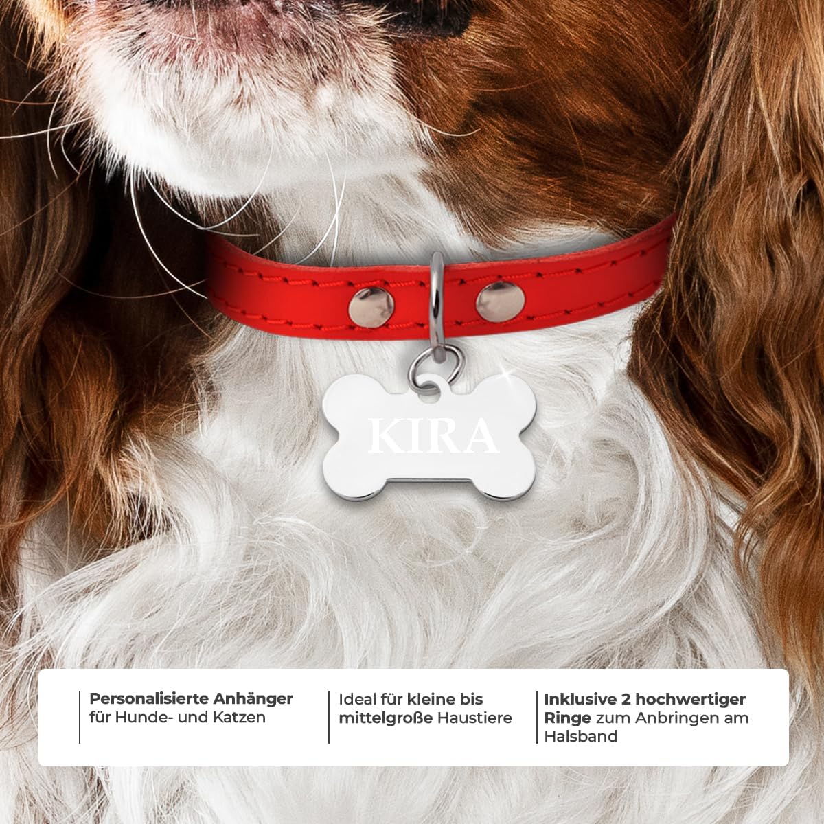 Ibera gifts - Hundemarke mit Gravur und personalisierte Hundemarke in Knochenform für mittelgroße bis große Hunde und Katzen (Silber, Keine Zeichnung)