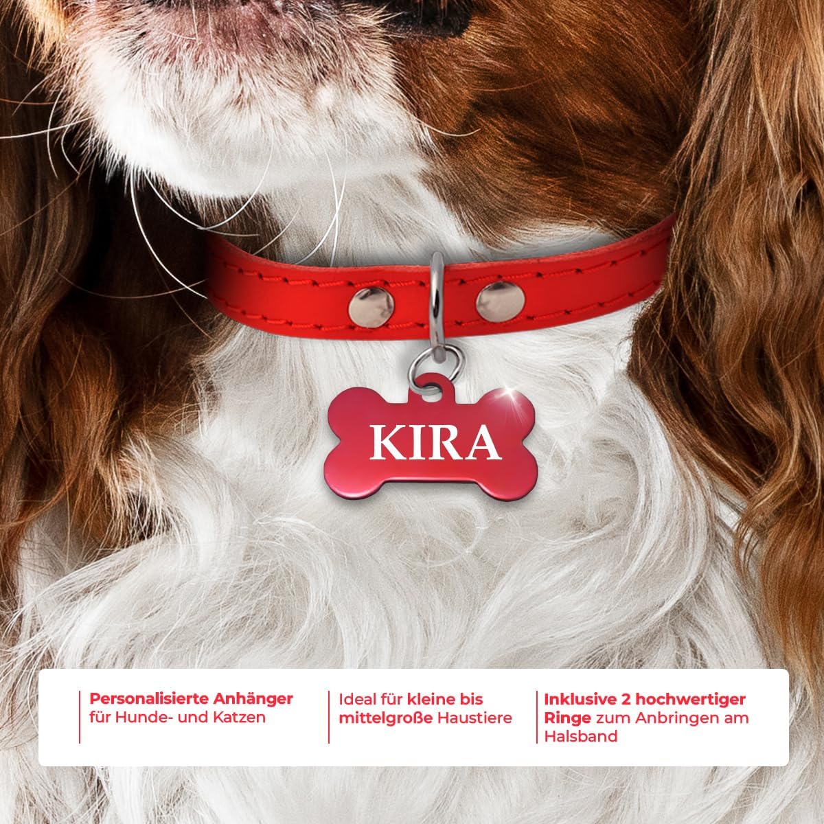 Ibera gifts - Hundemarke mit Gravur und personalisierte Hundemarke in Knochenform für kleine bis mittelgroße Hunde und Katzen (Rot, Keine Zeichnung)