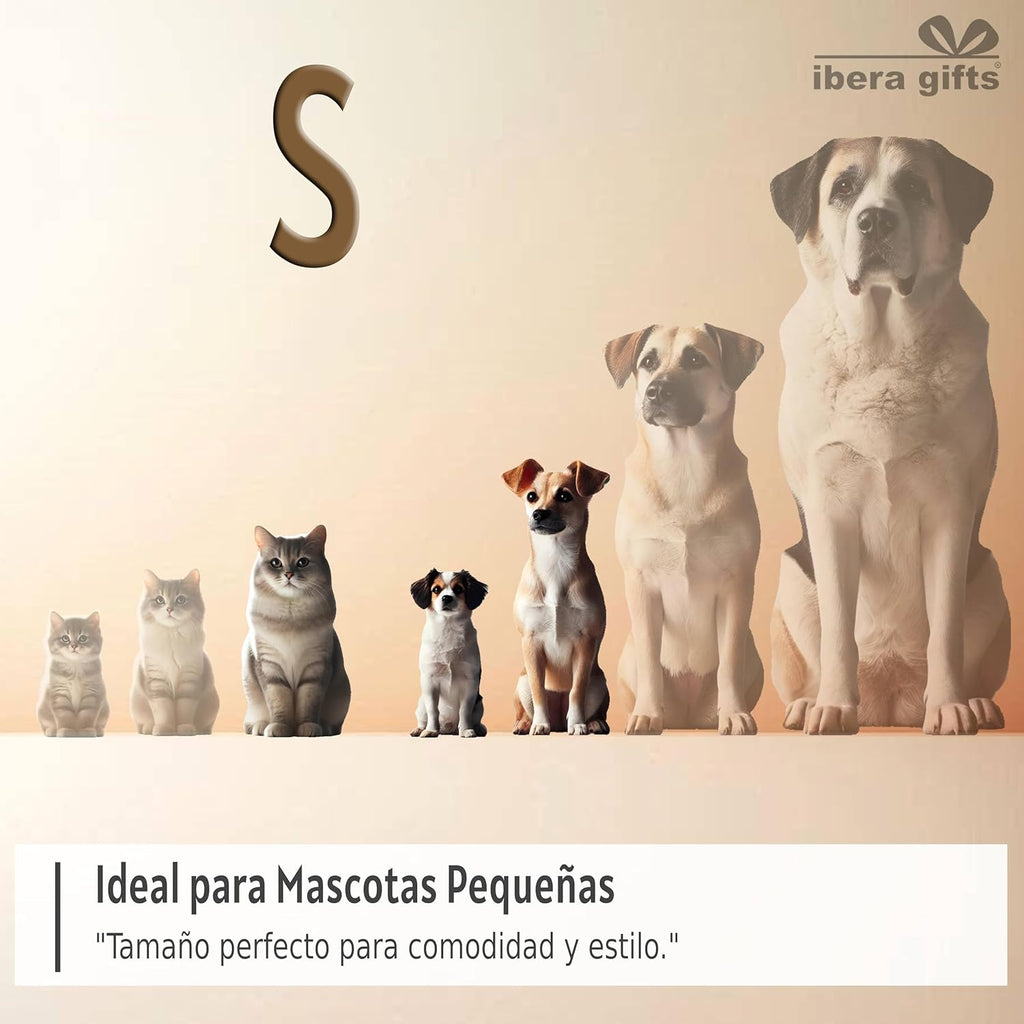 Ibera gifts - Collar Perro Personalizado con Nombre para Mascotas Pequeñas, Reflectante, Ajustable De 25 a 40 cm, Grabado Láser, Seguro y Cómodo (Azul, S pequeño)