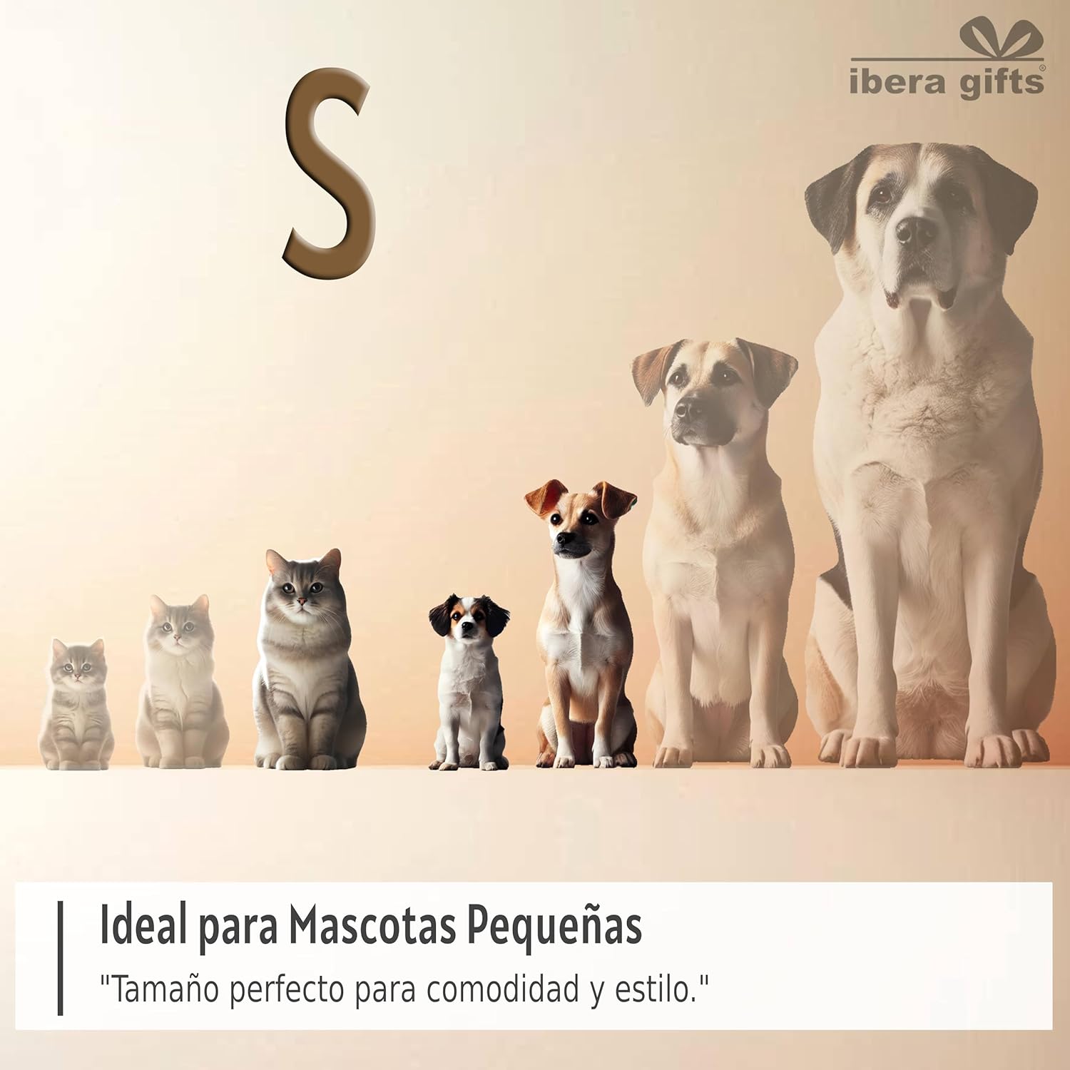 Ibera gifts - Collar Perro Personalizado con Nombre para Mascotas Pequeñas, Reflectante, Ajustable De 25 a 40 cm, Grabado Láser, Seguro y Cómodo (Azul, S pequeño)