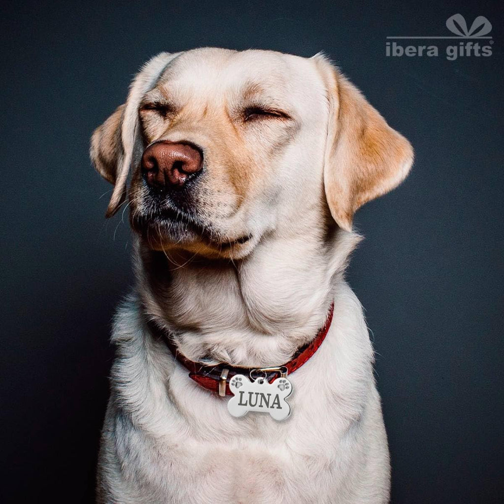 Ibera Gifts - Chapa Perro Grabada De Acero Inoxidable En Forma De Hueso, Tamaño 25 x 16 mm, Placa Perro Personalizada Para Cachorros y Mascotas Muy Pequeñas (Peq. 2 Huellas)