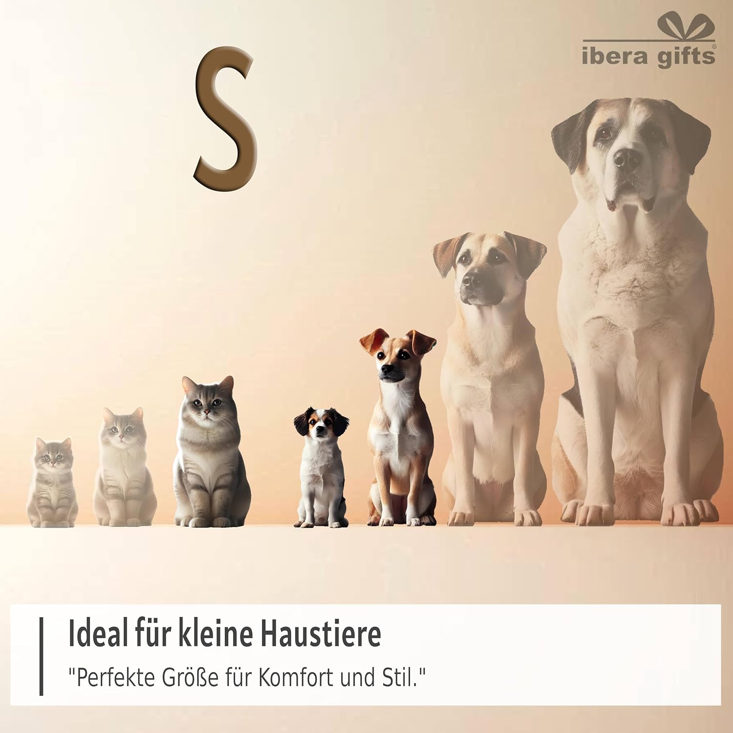 Ibera gifts - Hundehalsband Personalisiert, Hundehalsband Mit Namen Für Kleine Hunde, 25-40 cm, Reflektierend (Schwarz, S Klein)