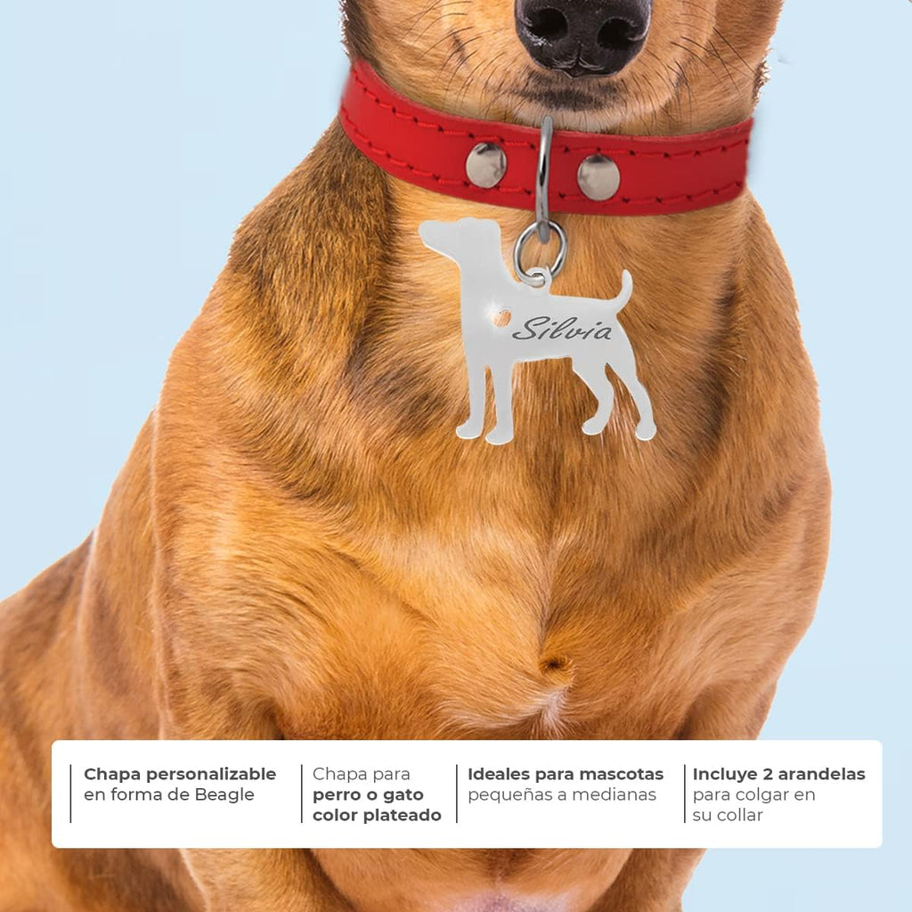 Chapa para Perro y Gato Personalizada - Ideal para Grabar su Nombre y tu Contacto - Placa Identificativa Hecha de Acero Inoxidable - Forma de Beagle - Regalos Market
