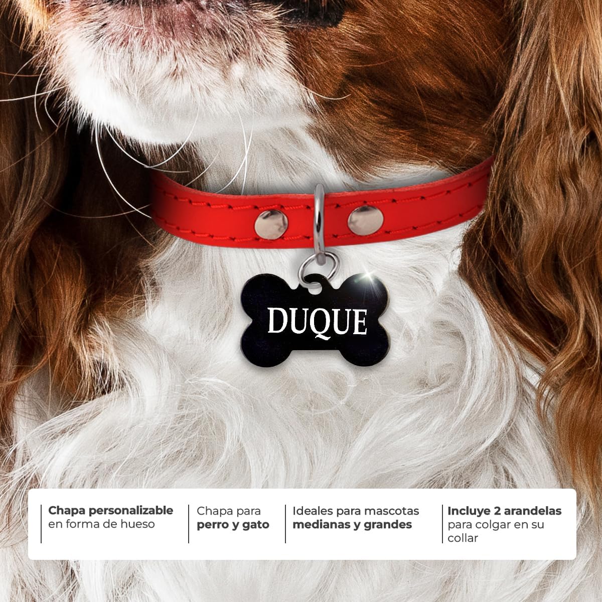 Ibera Gifts - Chapa Perro Grabada en Forma de Hueso, Placa Perro Personalizada para Perros y Gatos Medianos y Grandes, Tamaño 40 x 26 mm, Chapa Identificativa Perro y Gato (Negra)