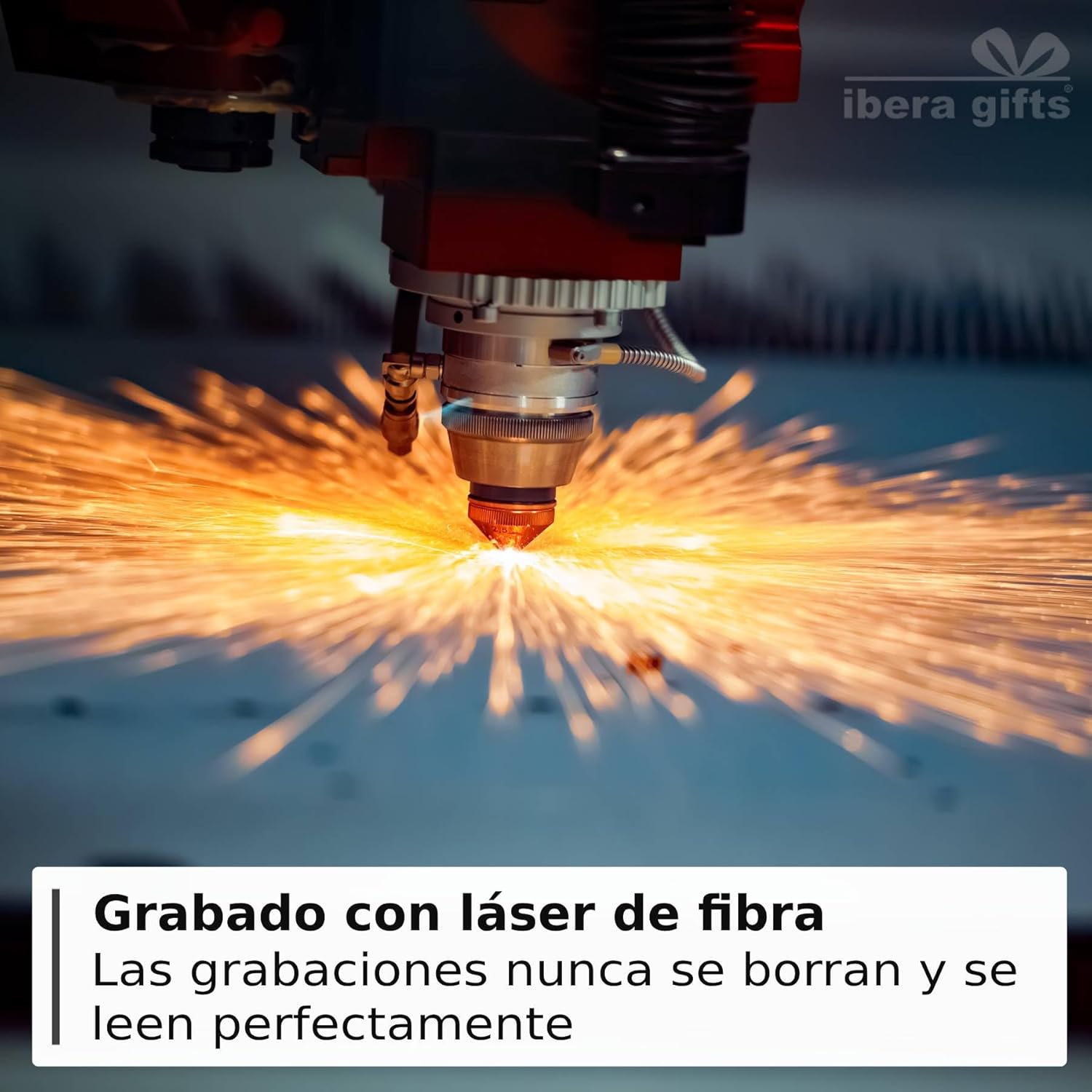 Ibera Gifts - Chapa Perro Grabada en Forma de Pata con Purpurina, Placa Perro Personalizada para Perros y Gatos Pequeños y Medianos, Tamaño 24 mm x 27 mm, Chapa Identificativa Perro y Gato (Azul)