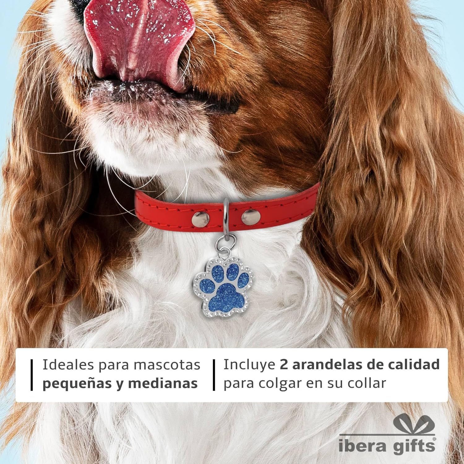 Ibera Gifts - Chapa Perro Grabada en Forma de Pata con Purpurina, Placa Perro Personalizada para Perros y Gatos Pequeños y Medianos, Tamaño 24 mm x 27 mm, Chapa Identificativa Perro y Gato (Azul)