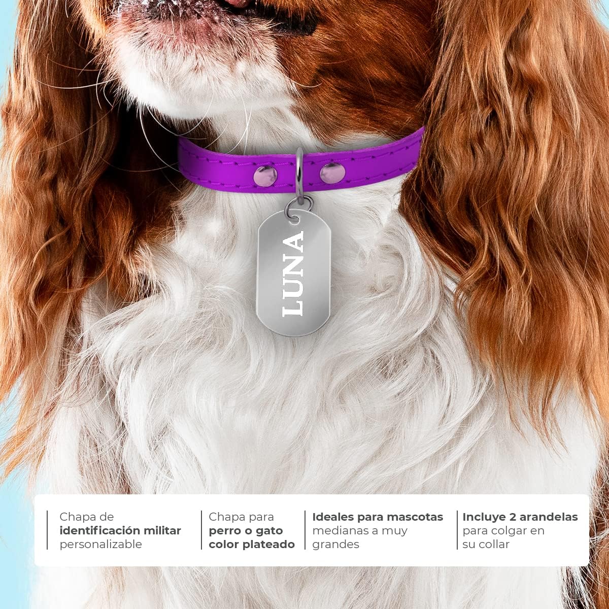 Ibera gifts - Hundemarke mit Gravur - Hundemarke Personalisiert Militärische Erkennungsmarke für große Hunde