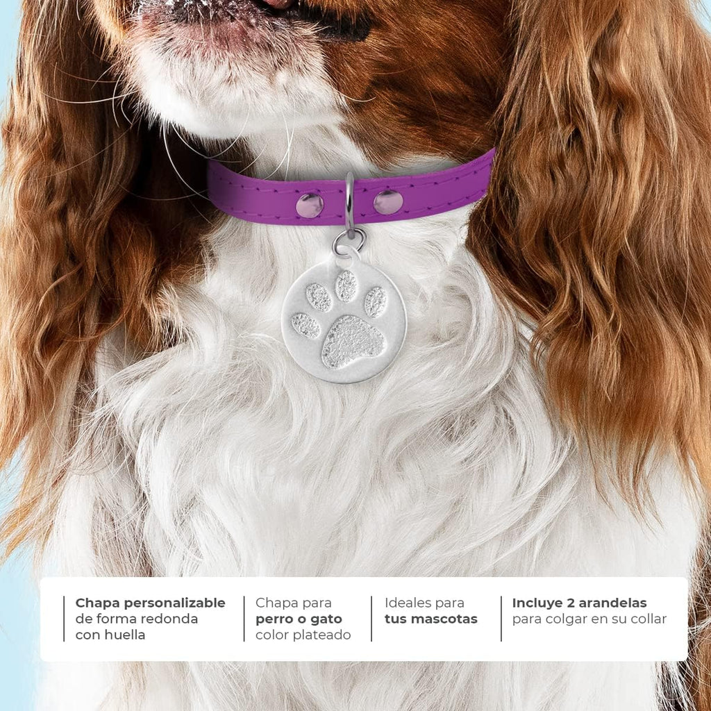 Ibera Gifts - Chapa Perro Grabada en Forma Redonda con Huella, Placa Perro Personalizada para Perros y Gatos Pequeños a Medianos, Tamaño 26 x 23 mm, Chapa Identificativa Perro y Gato (Plateada)